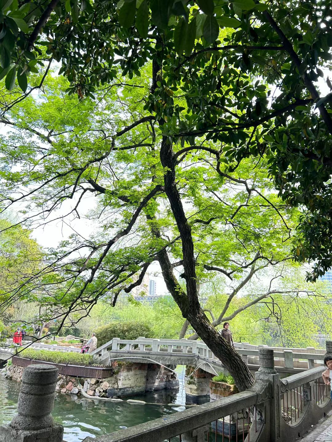 八一公园旅行图片 2