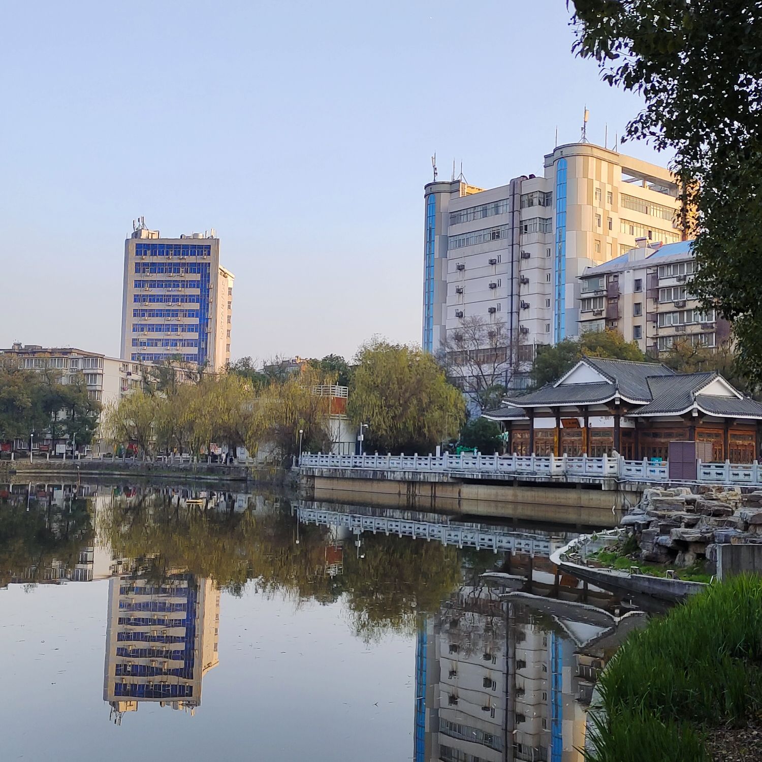 八一公园旅行图片 3