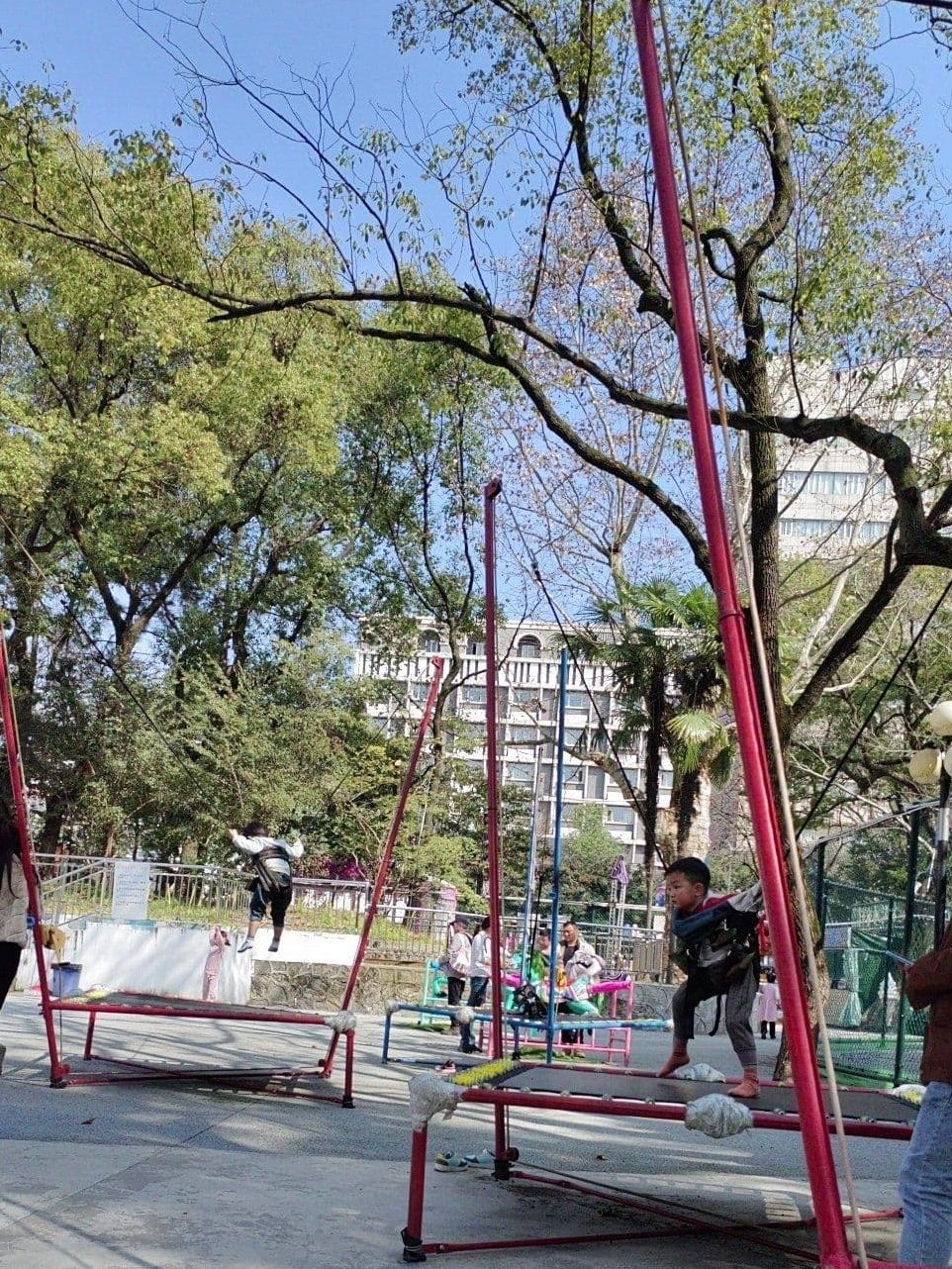 八一公园旅行图片 3