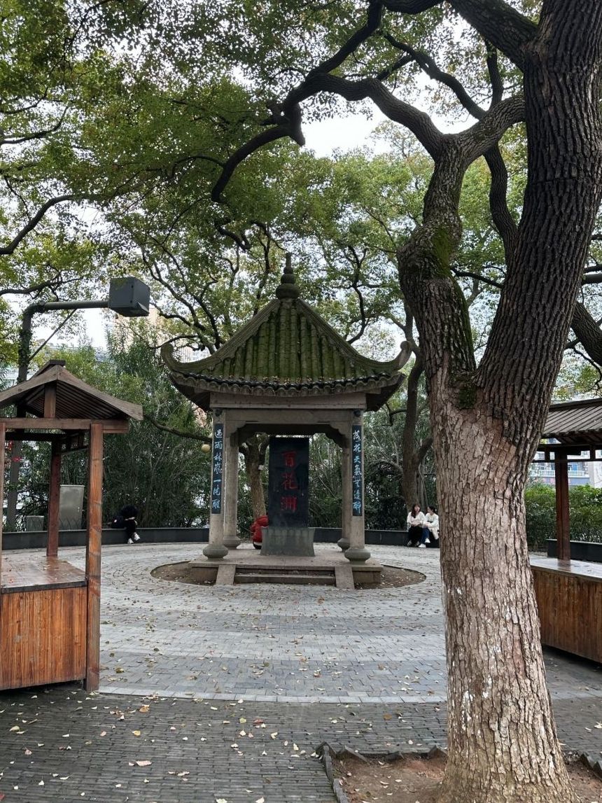 八一公园旅行图片 1