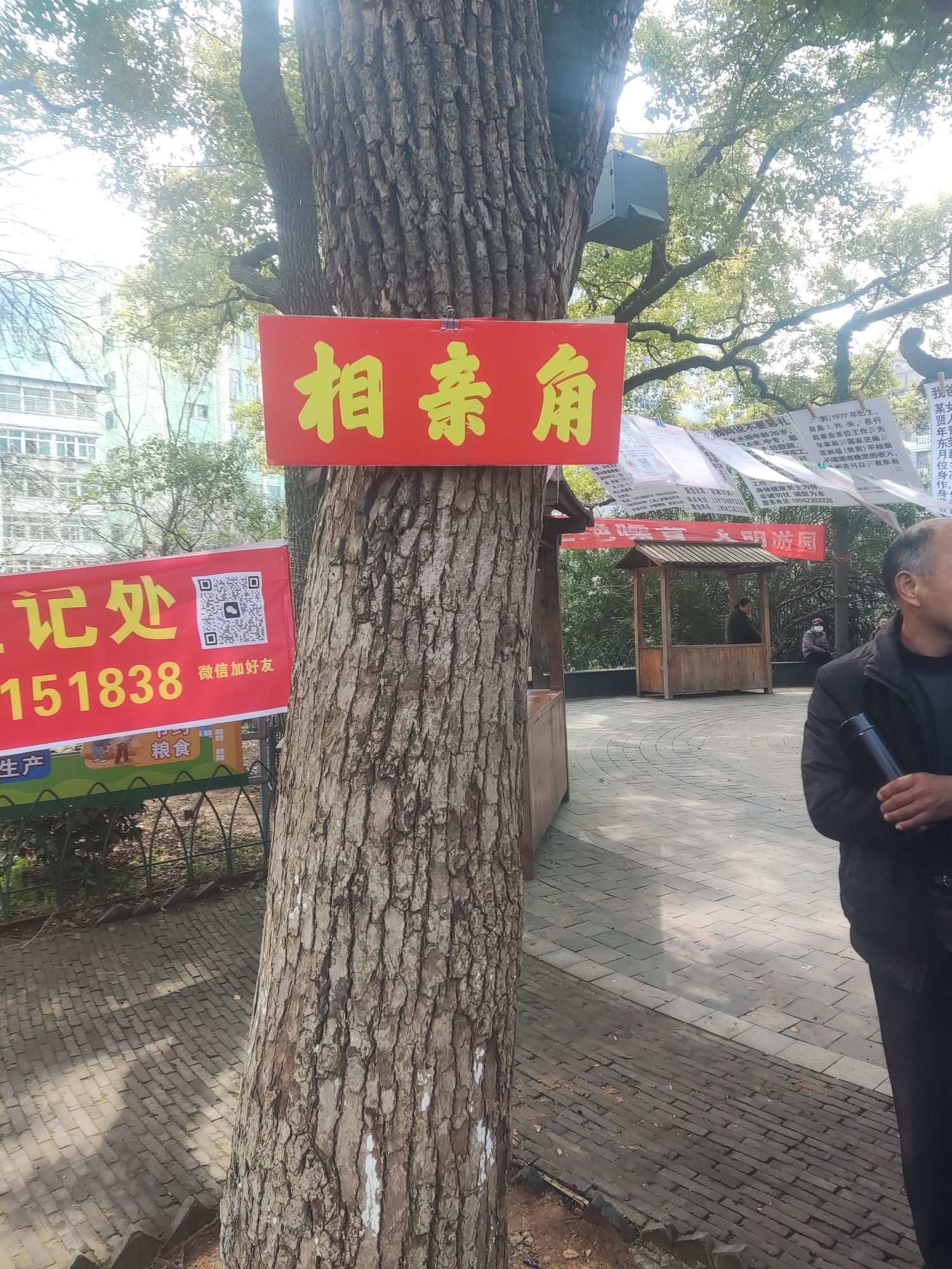 八一公园旅行图片 3