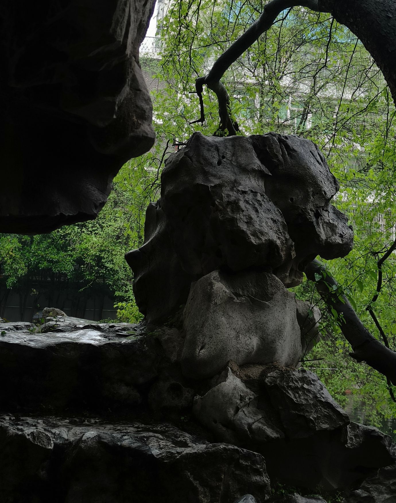 八一公园旅行图片 1
