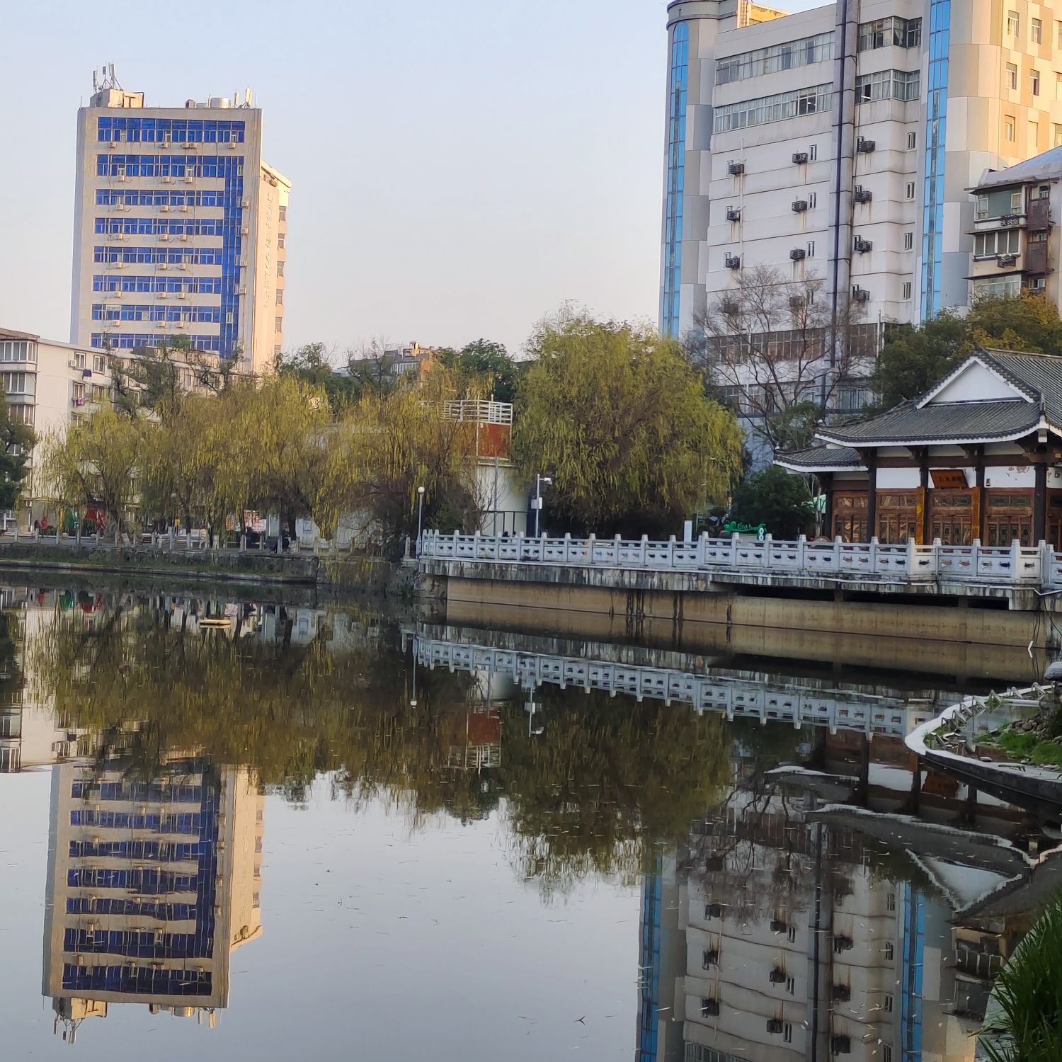 八一公园旅行图片 1