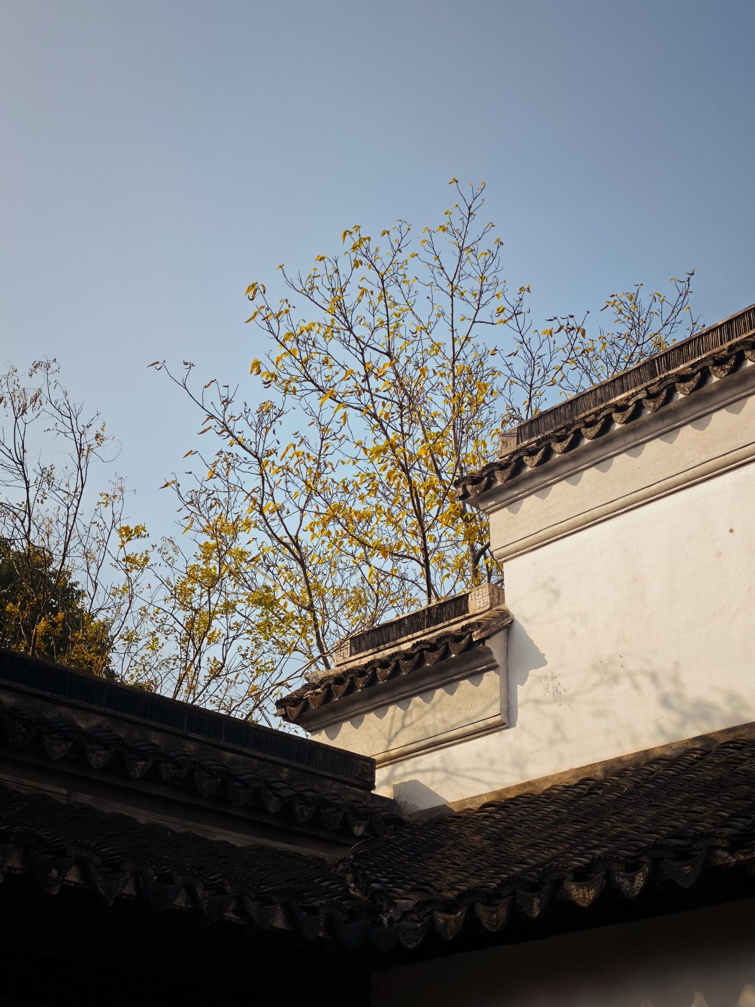 八大山人梅湖景区旅行图片 3