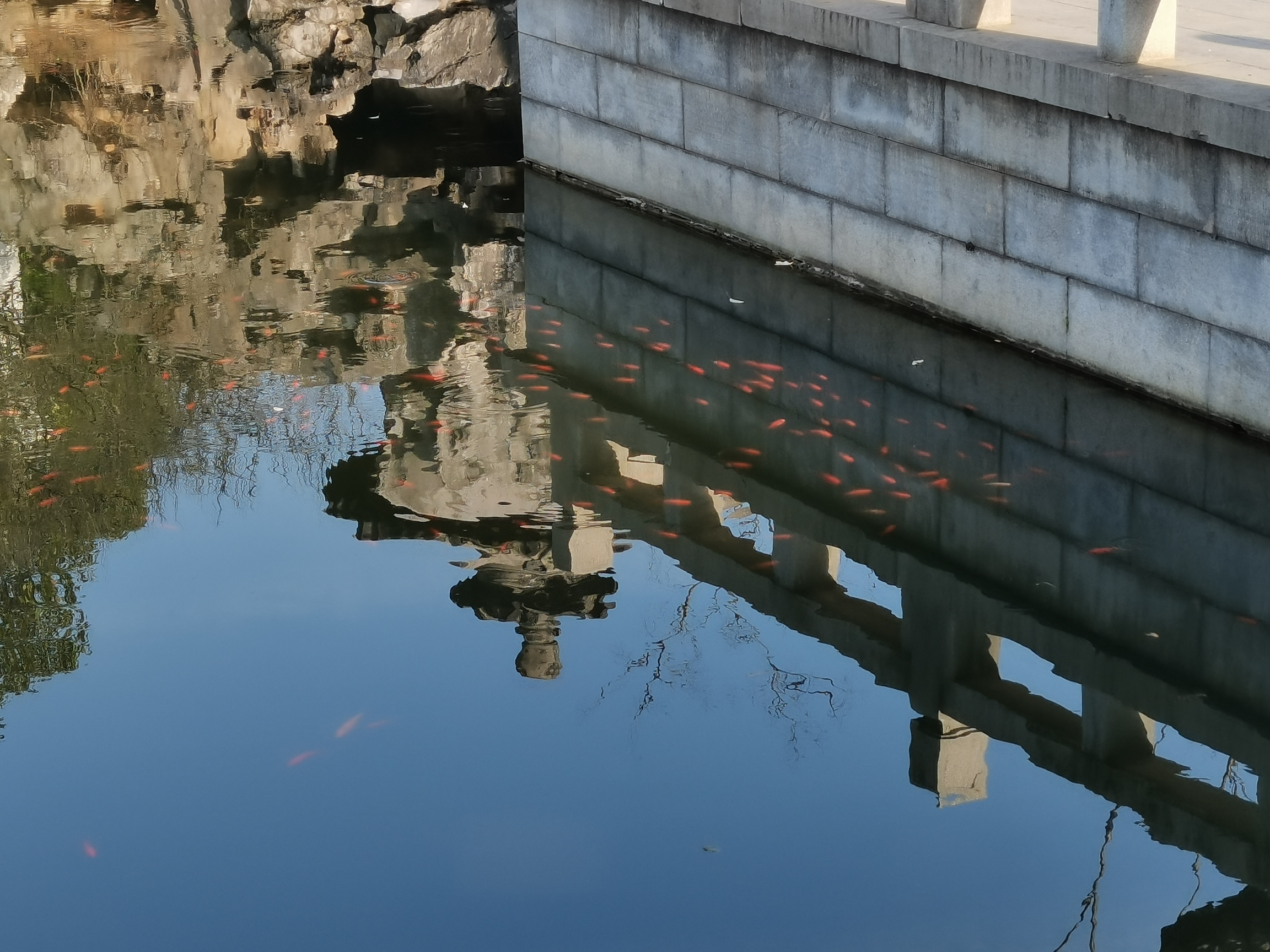 八大山人梅湖景区旅行图片 2