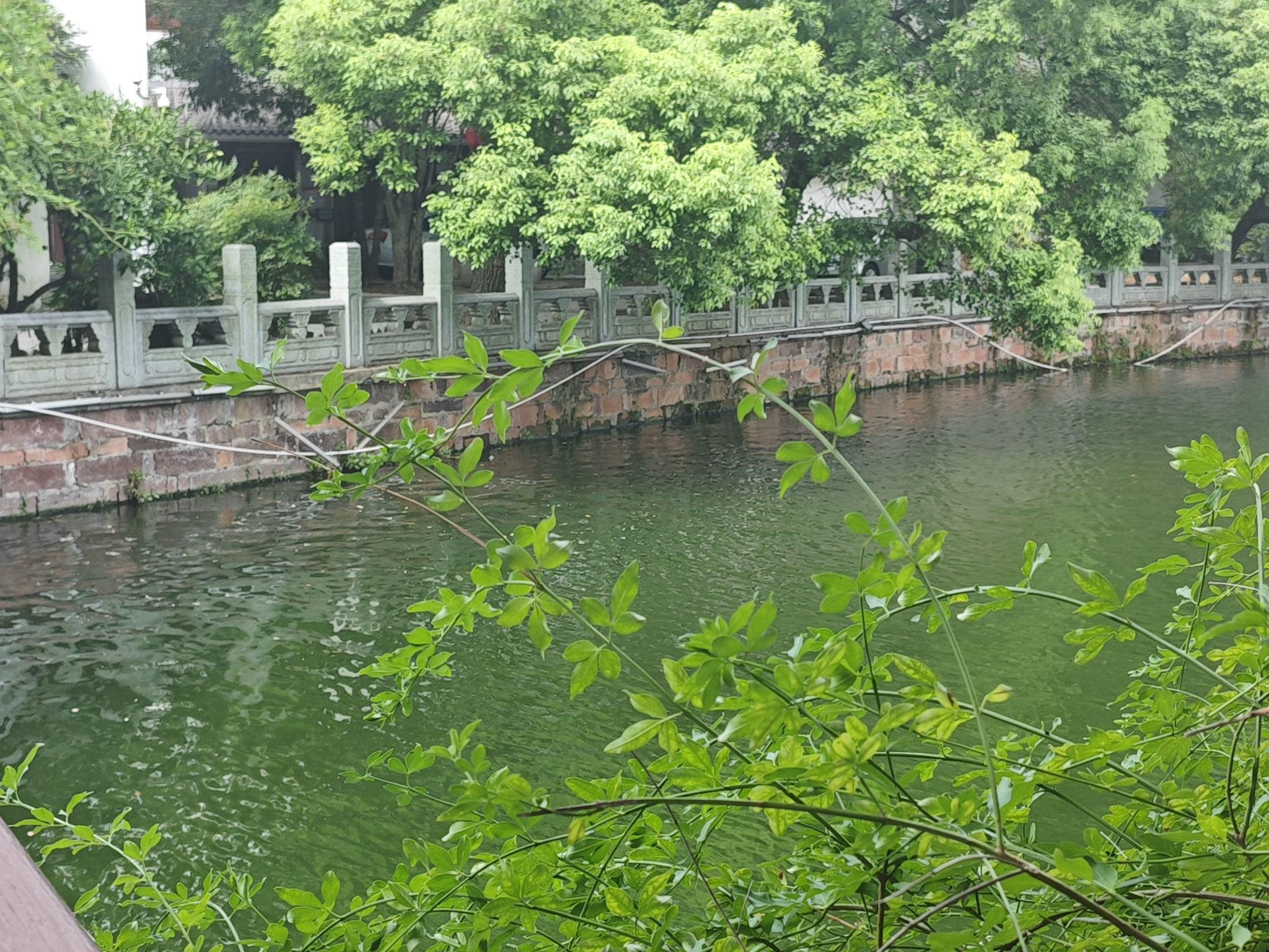 水观音亭旅行图片 1