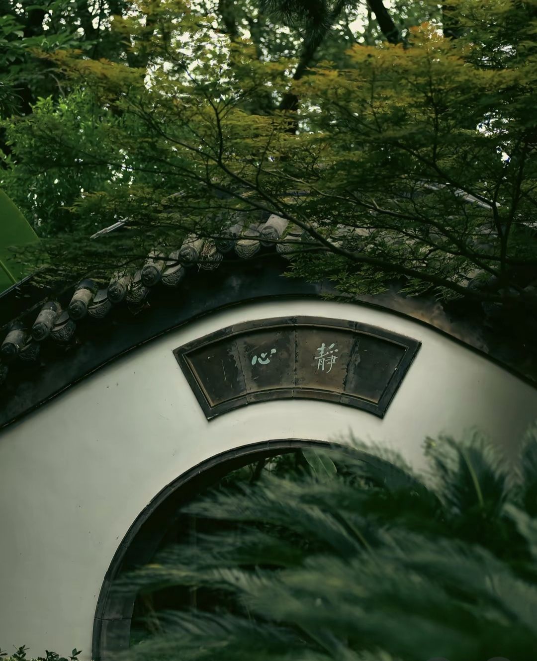 水观音亭旅行图片 3