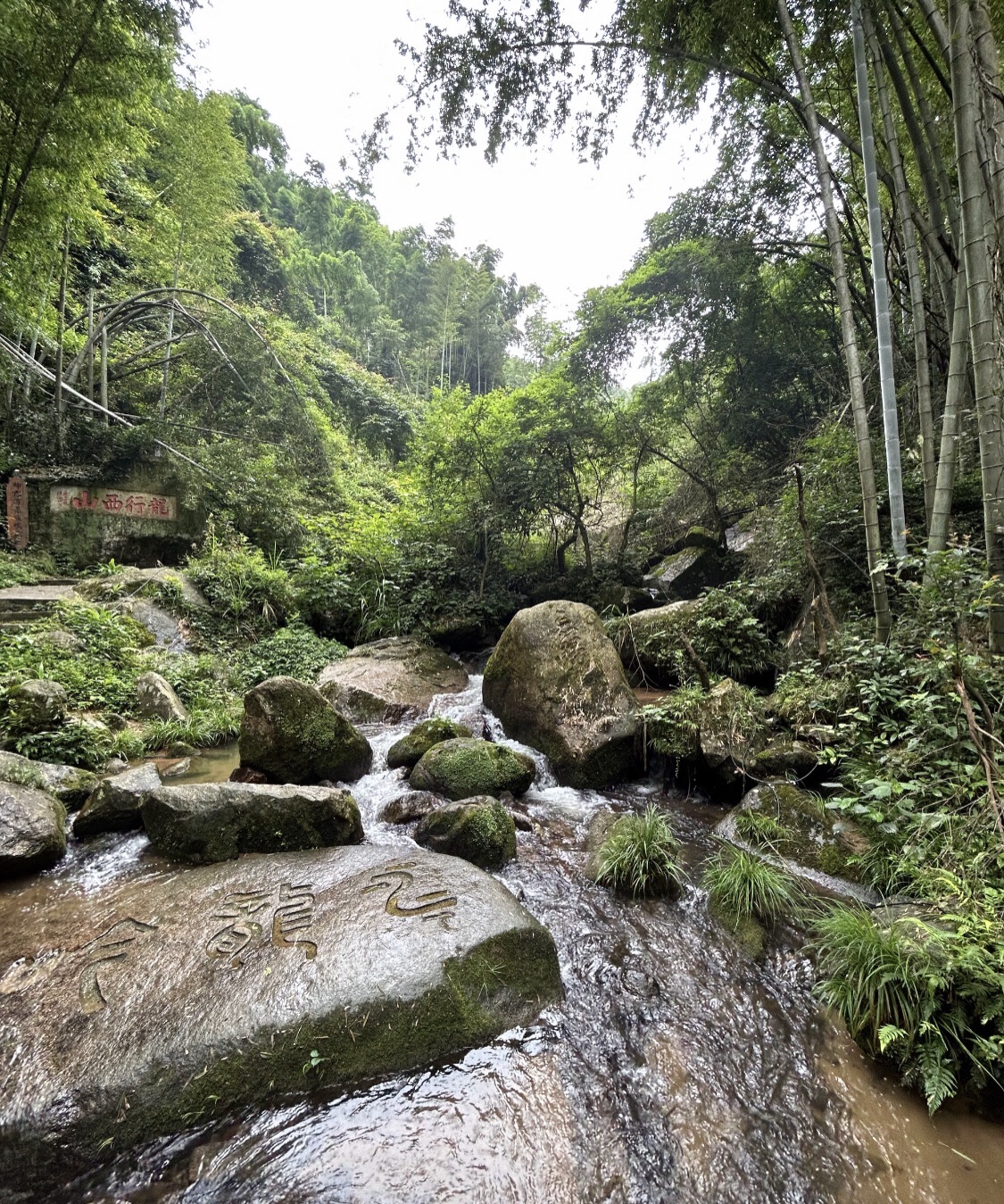 梅岭生态旅游度假区旅行图片 2
