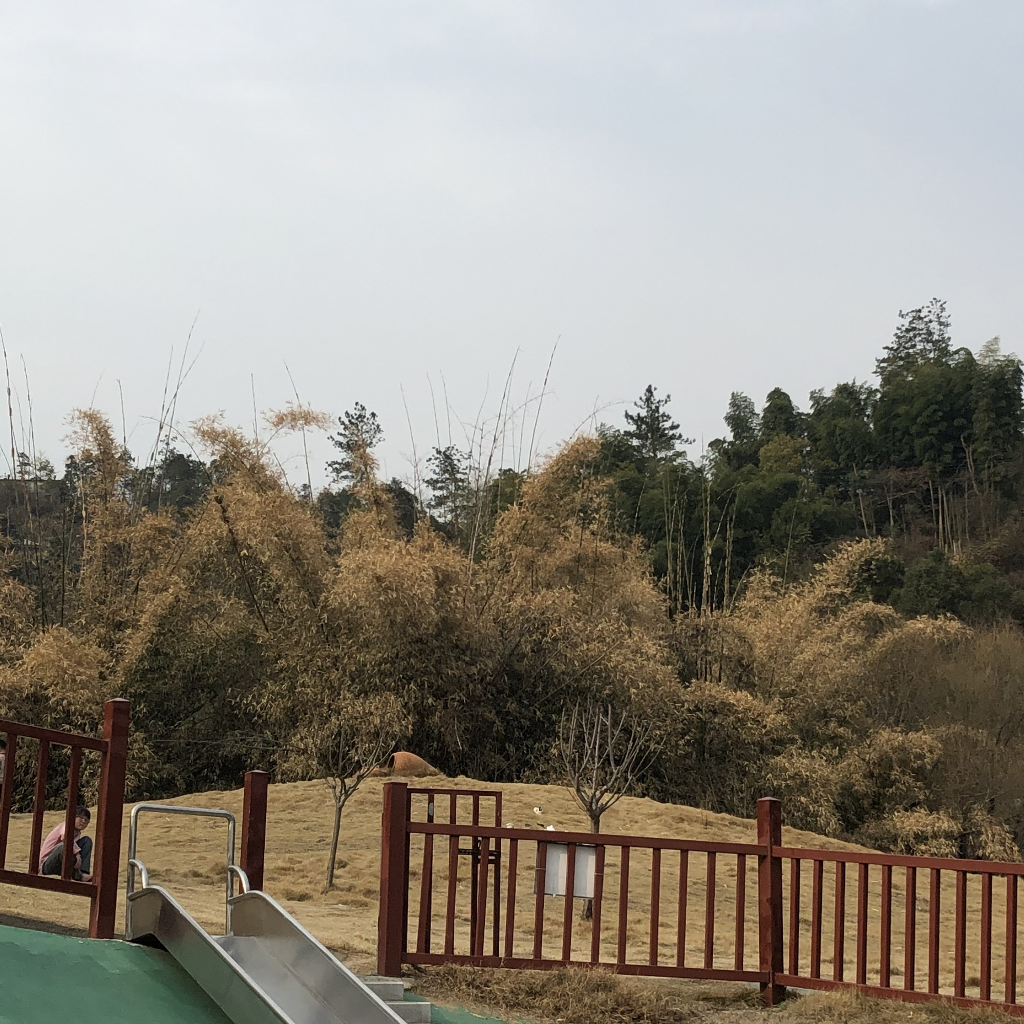 梅岭生态旅游度假区旅行图片 1