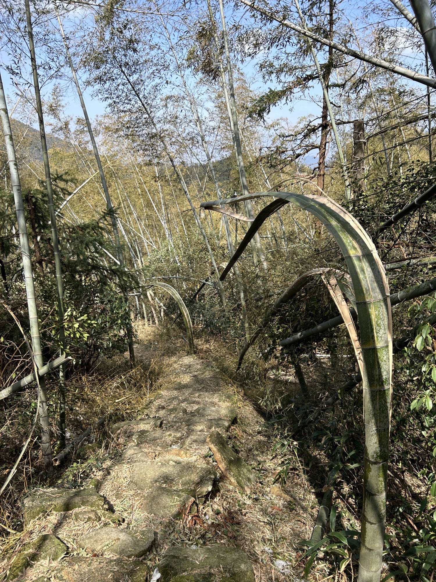 梅岭生态旅游度假区旅行图片 2