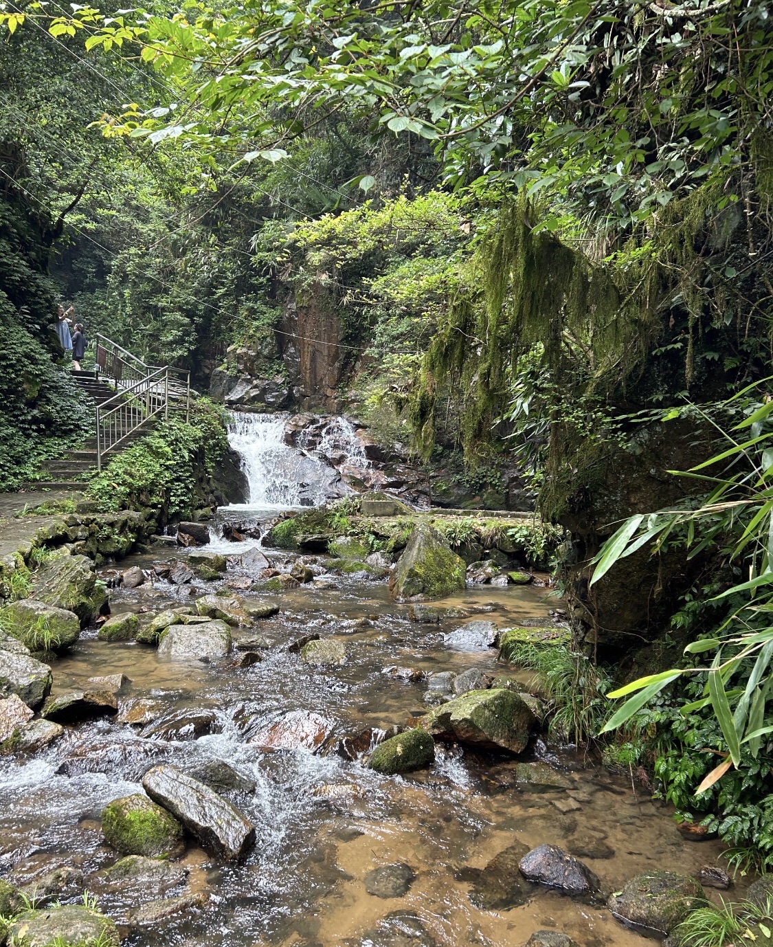 梅岭生态旅游度假区旅行图片 3