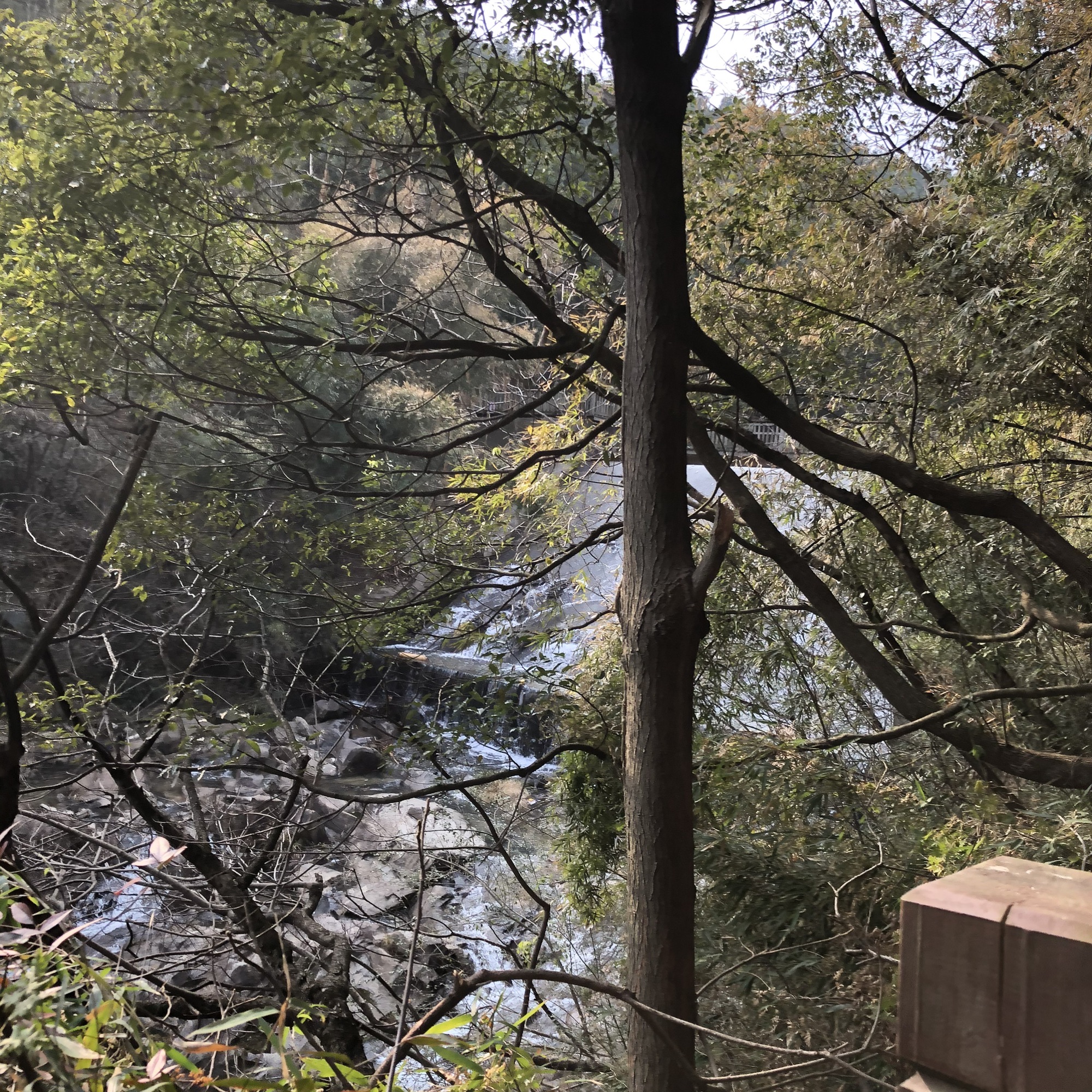 梅岭生态旅游度假区旅行图片 3