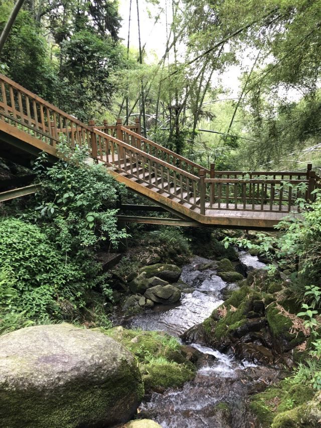 梅岭生态旅游度假区旅行图片 3