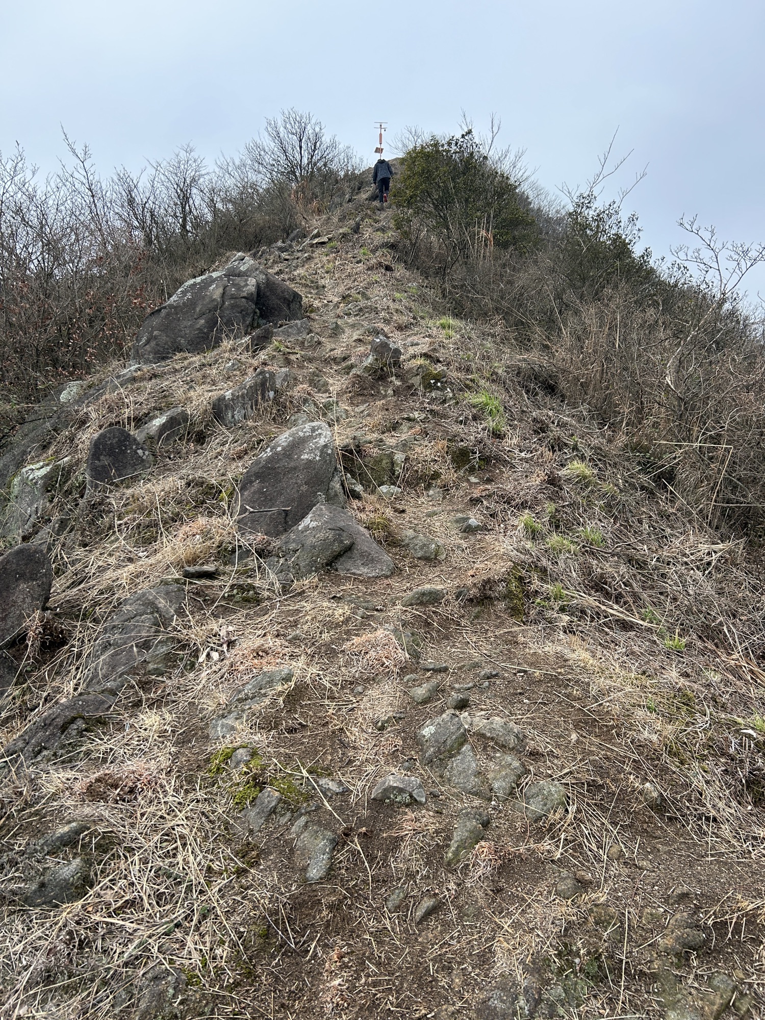 梅岭生态旅游度假区旅行图片 3