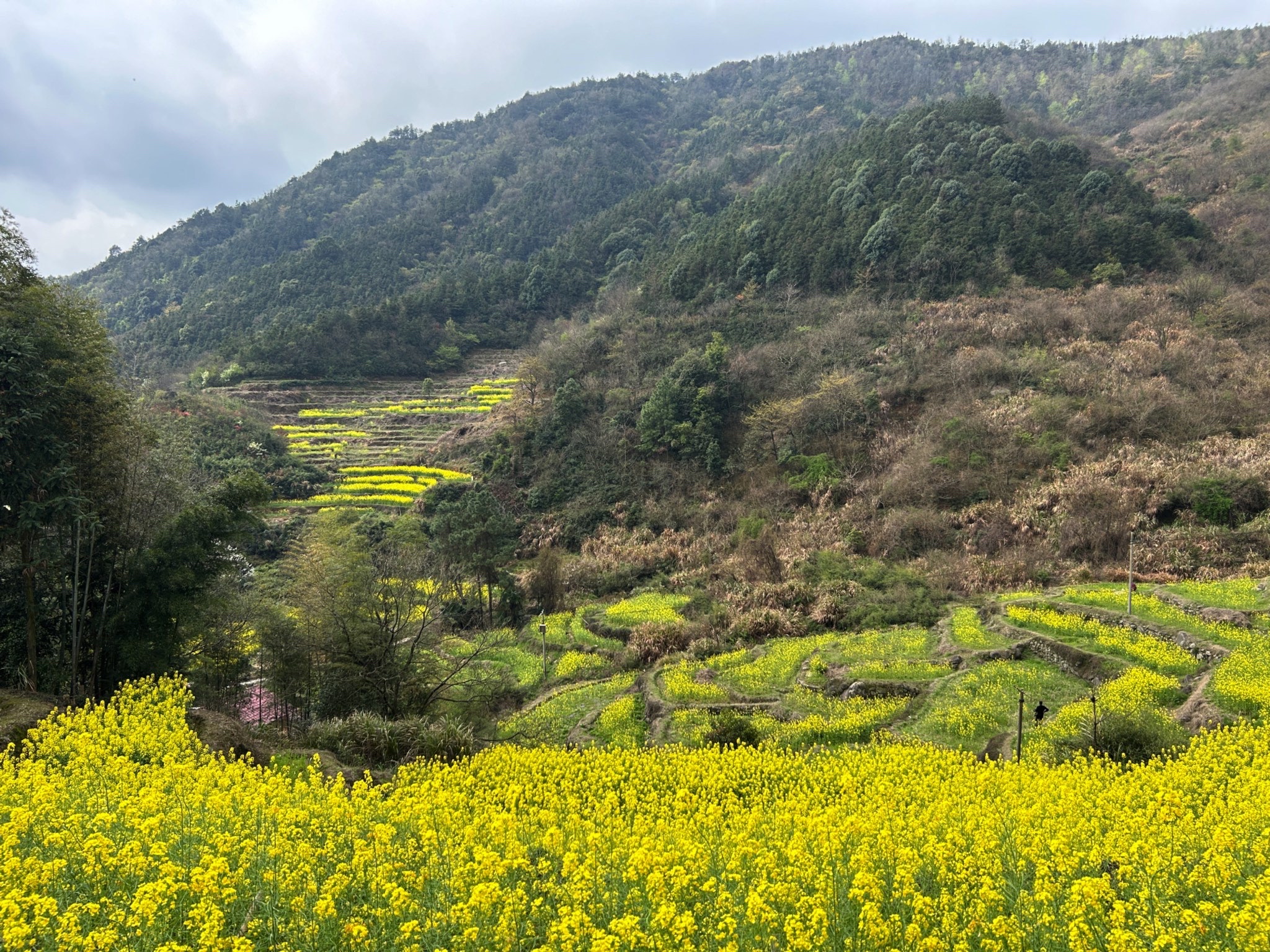 梅岭生态旅游度假区旅行图片 1
