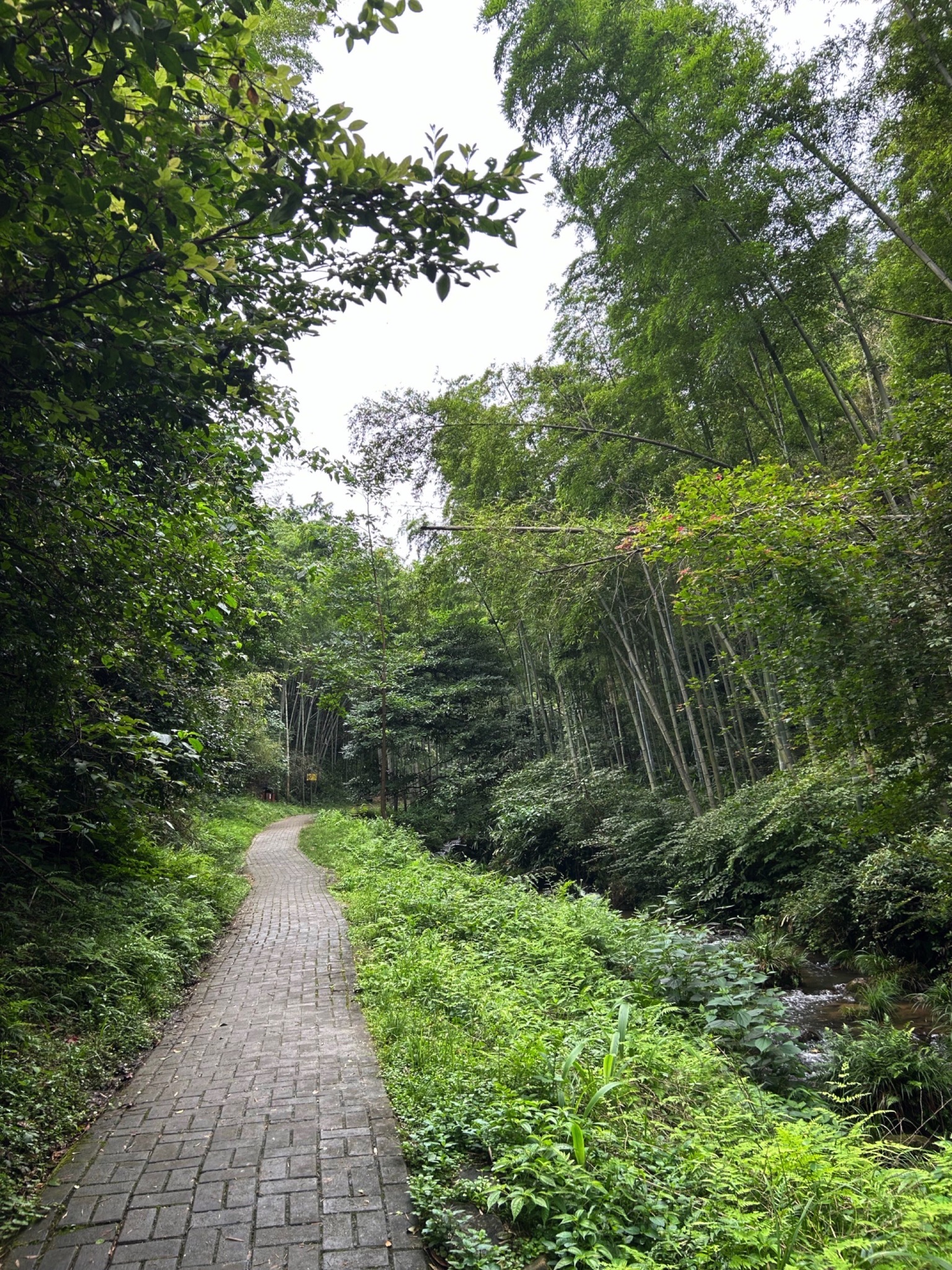 梅岭生态旅游度假区旅行图片 1