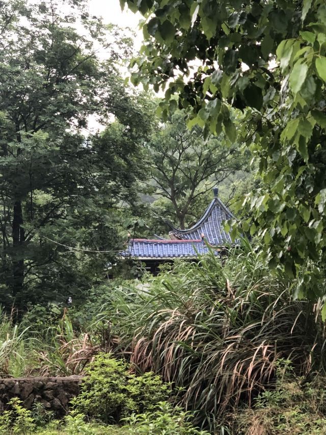 梅岭生态旅游度假区旅行图片 2