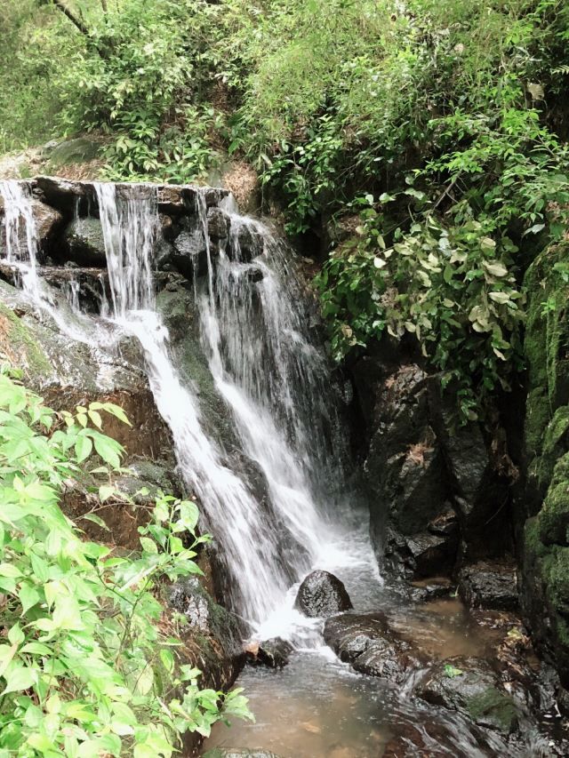 梅岭生态旅游度假区旅行图片 1
