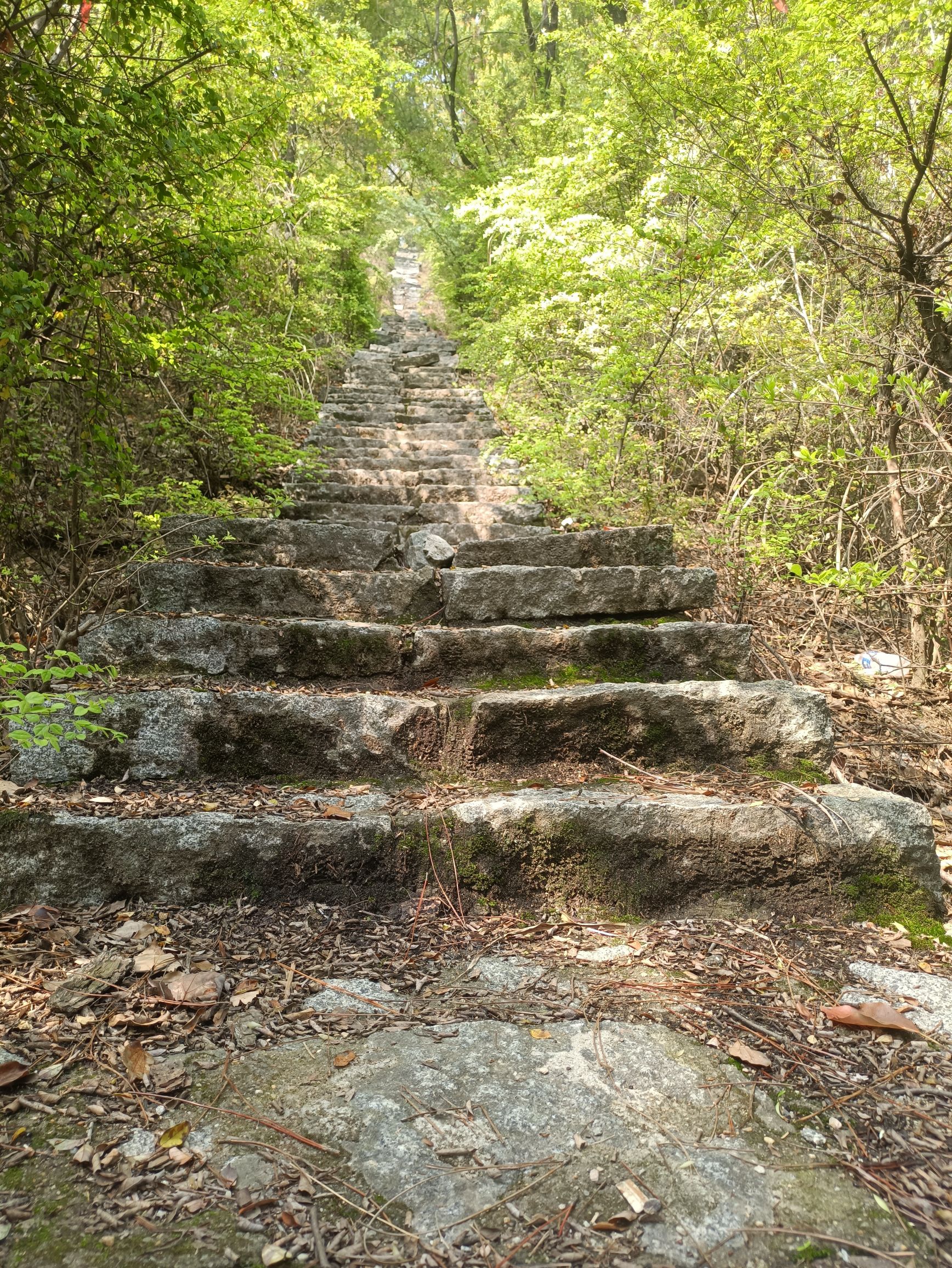 狐仙洞景区