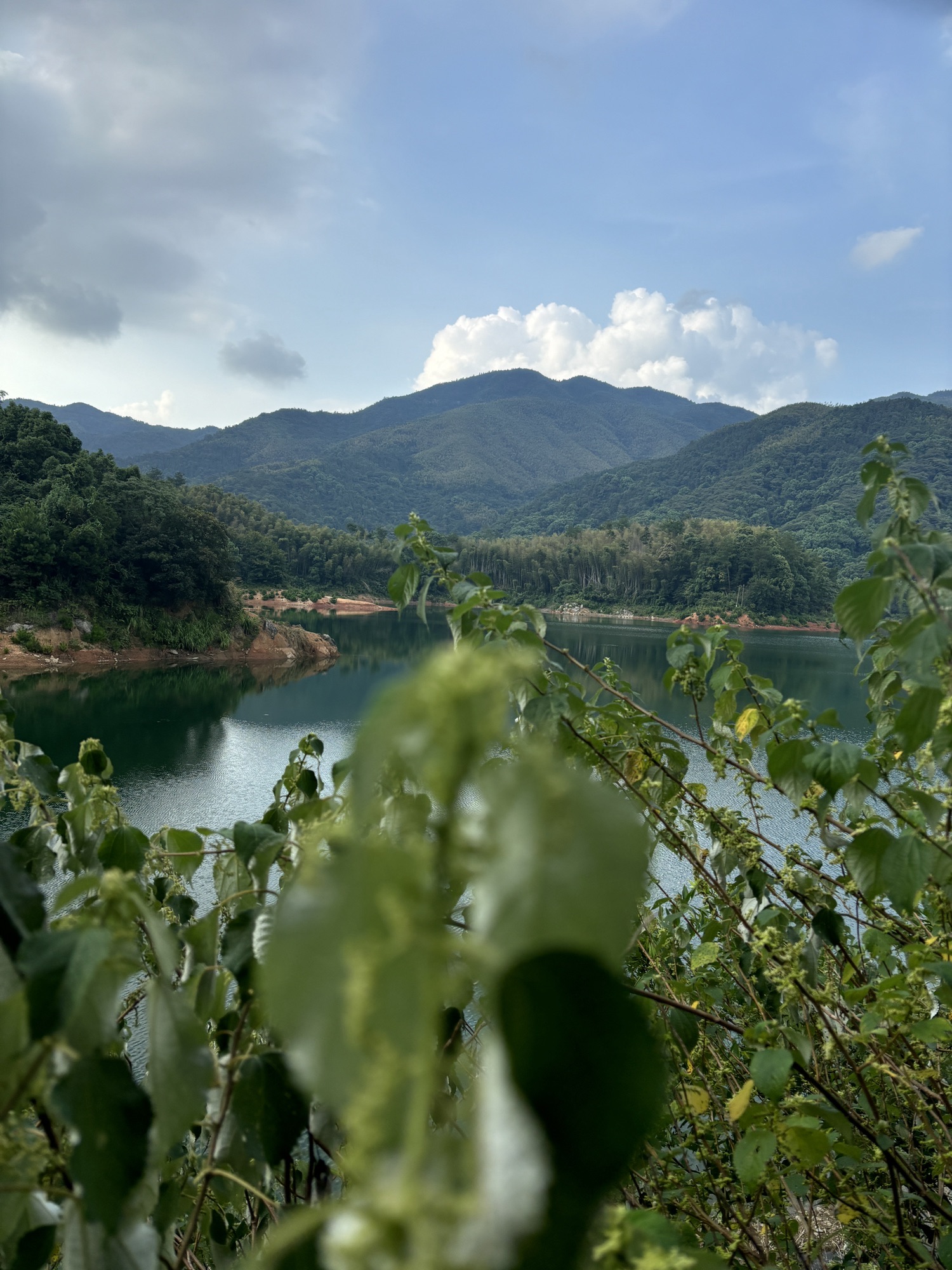乌井水库旅行图片 2