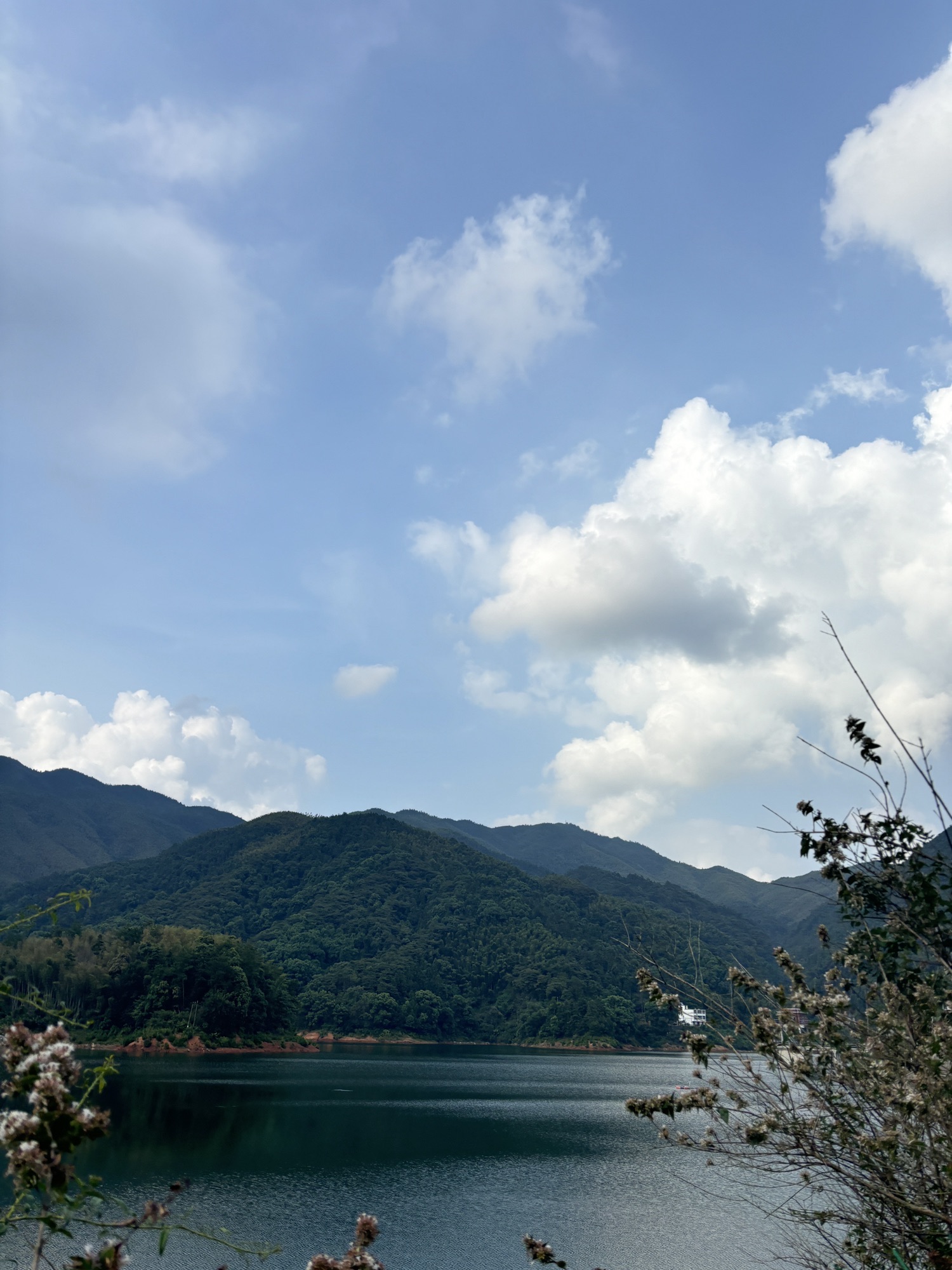 乌井水库旅行图片 3