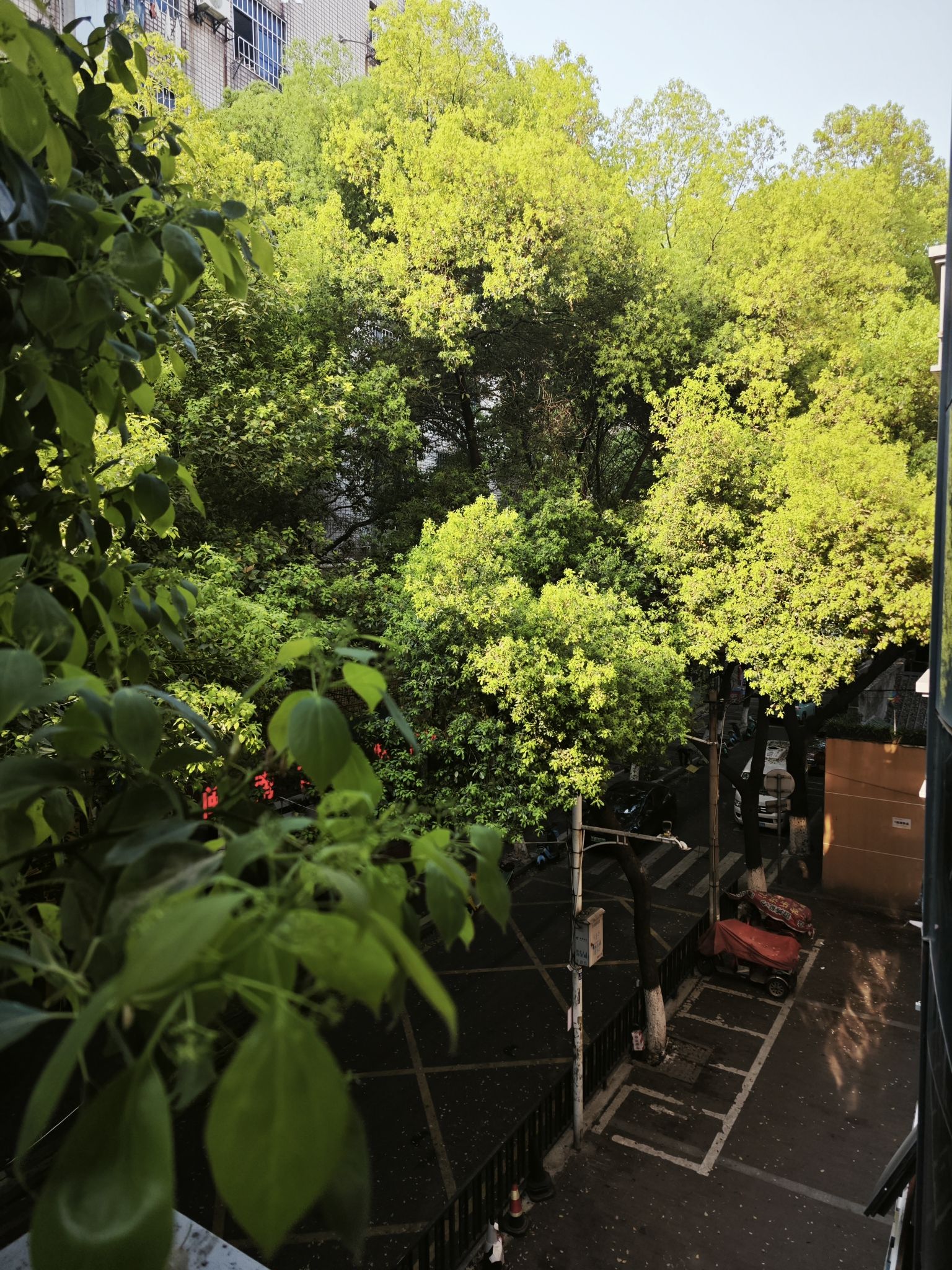 南昌市邮政路小学邮政路校区