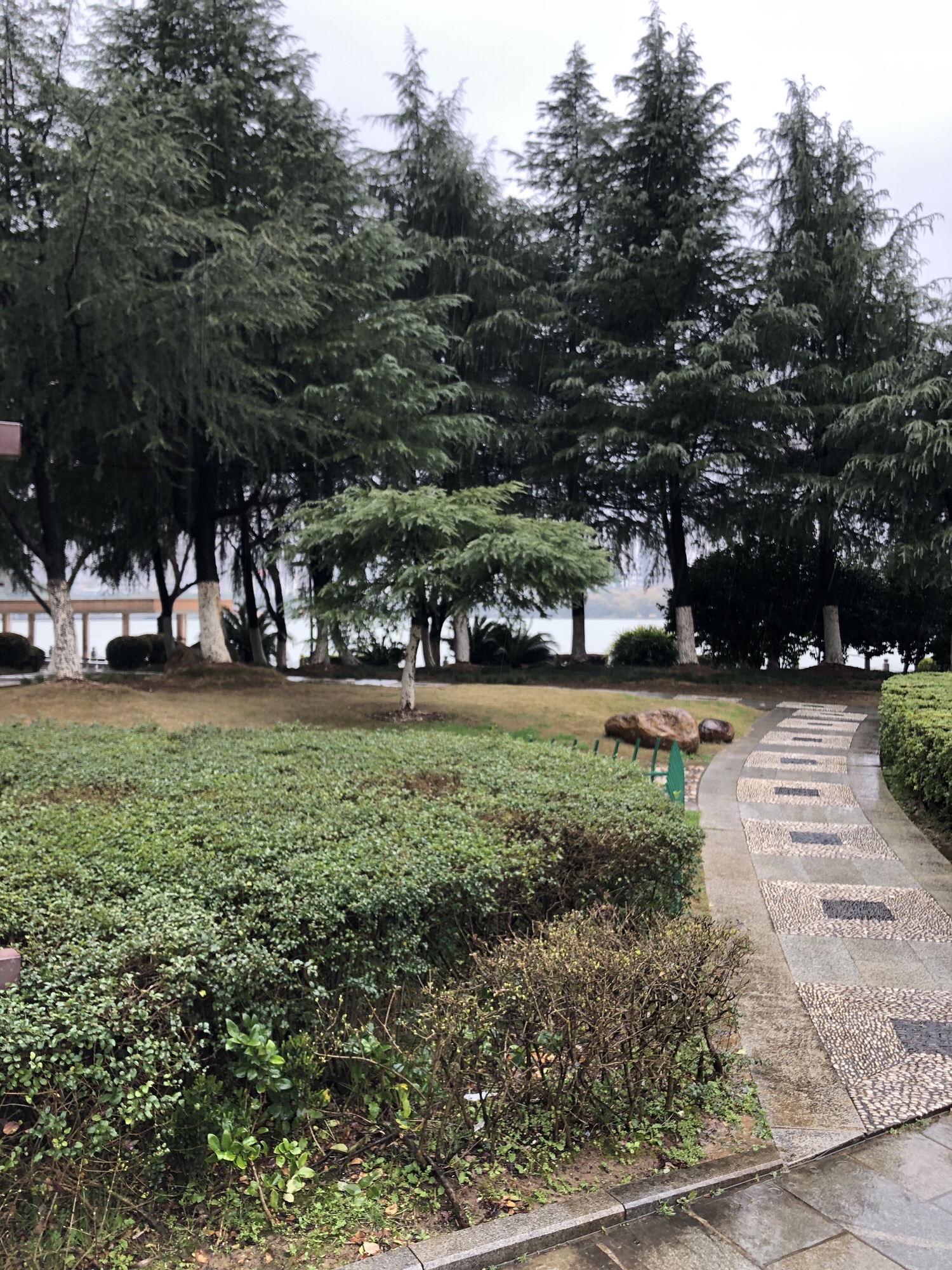澄碧湖公园旅行图片 2