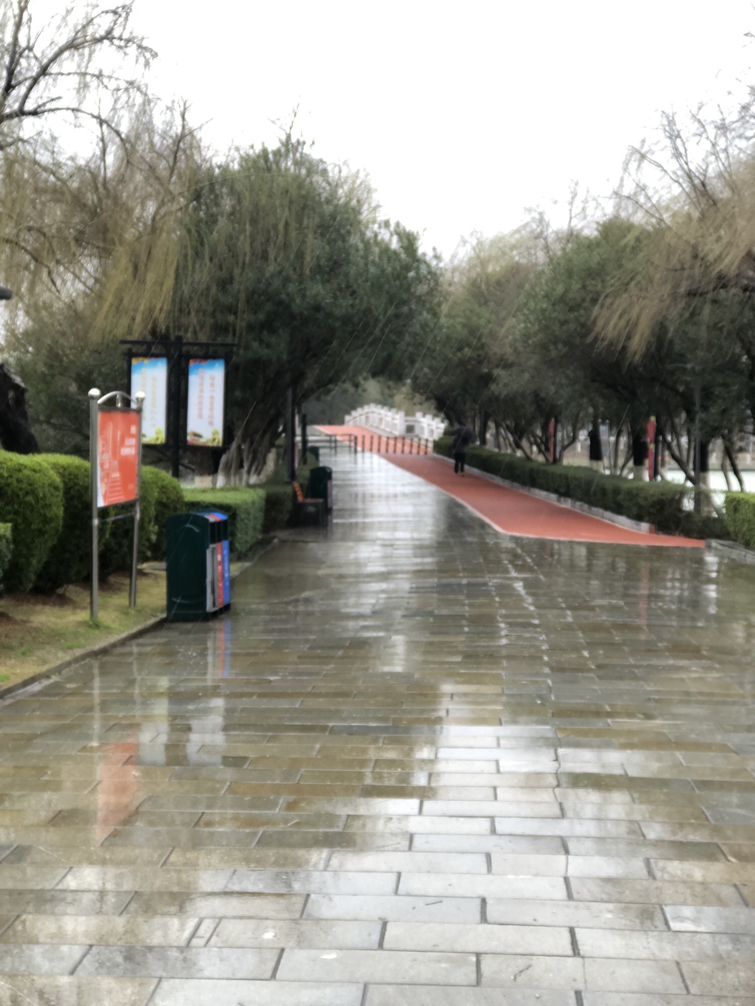 澄碧湖公园旅行图片 3
