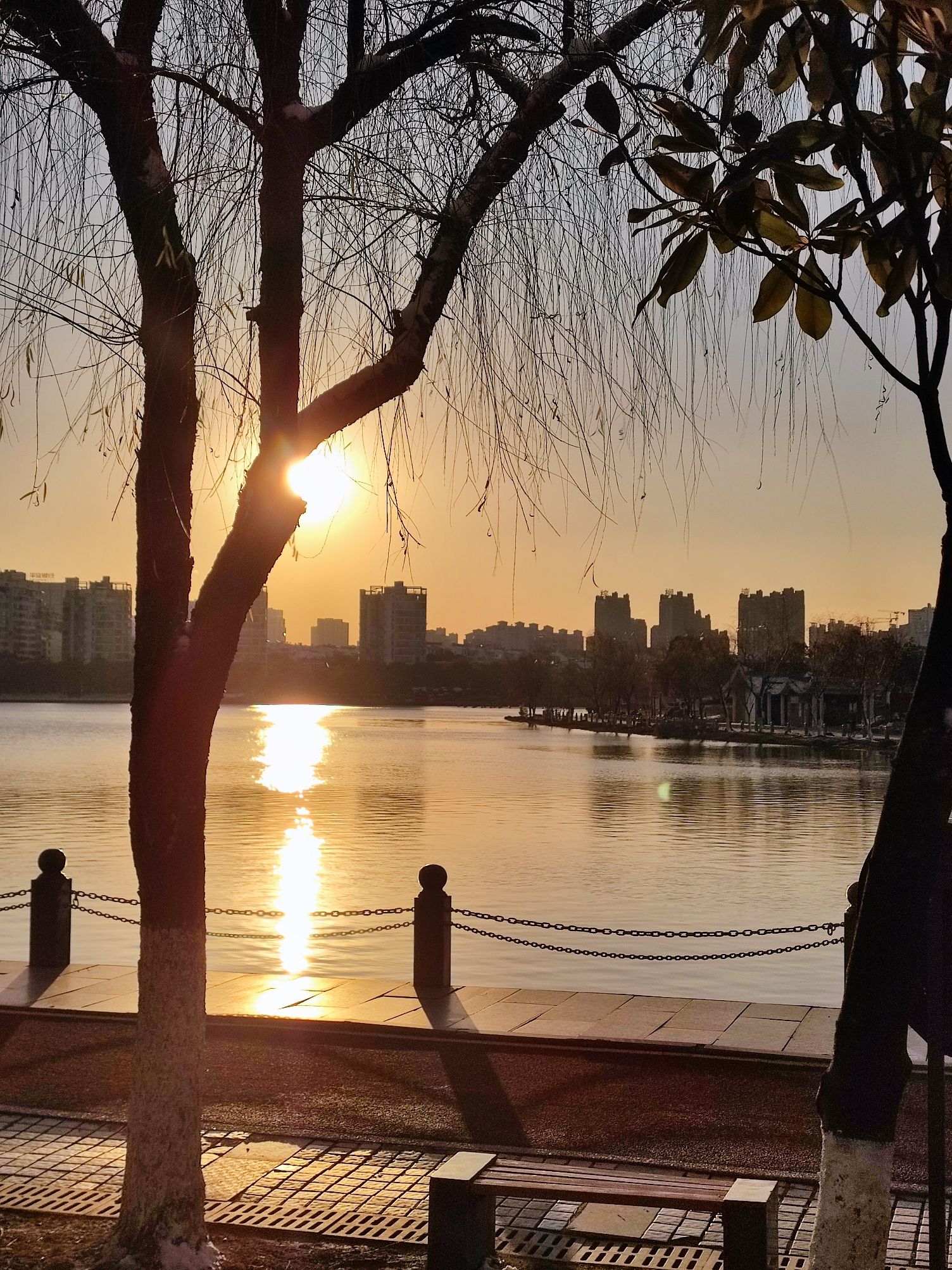 澄碧湖公园旅行图片 1