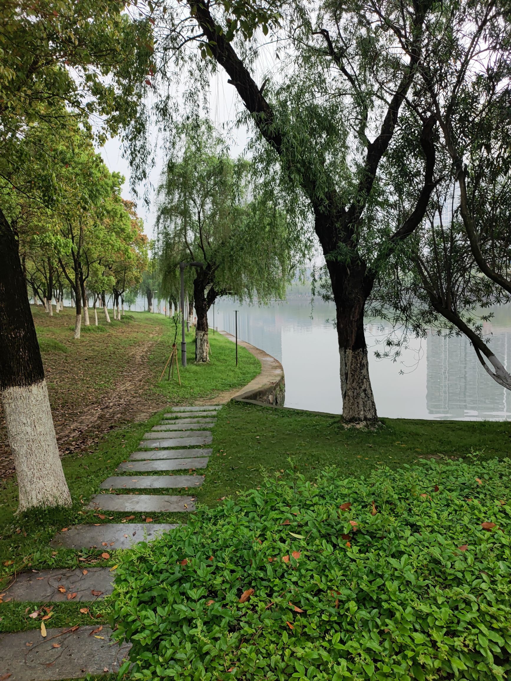 澄碧湖公园旅行图片 2