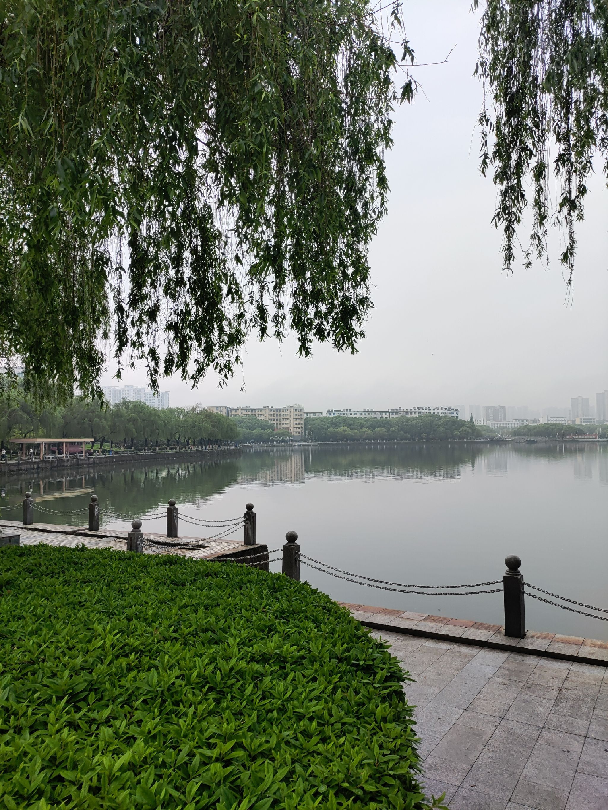 澄碧湖公园旅行图片 1