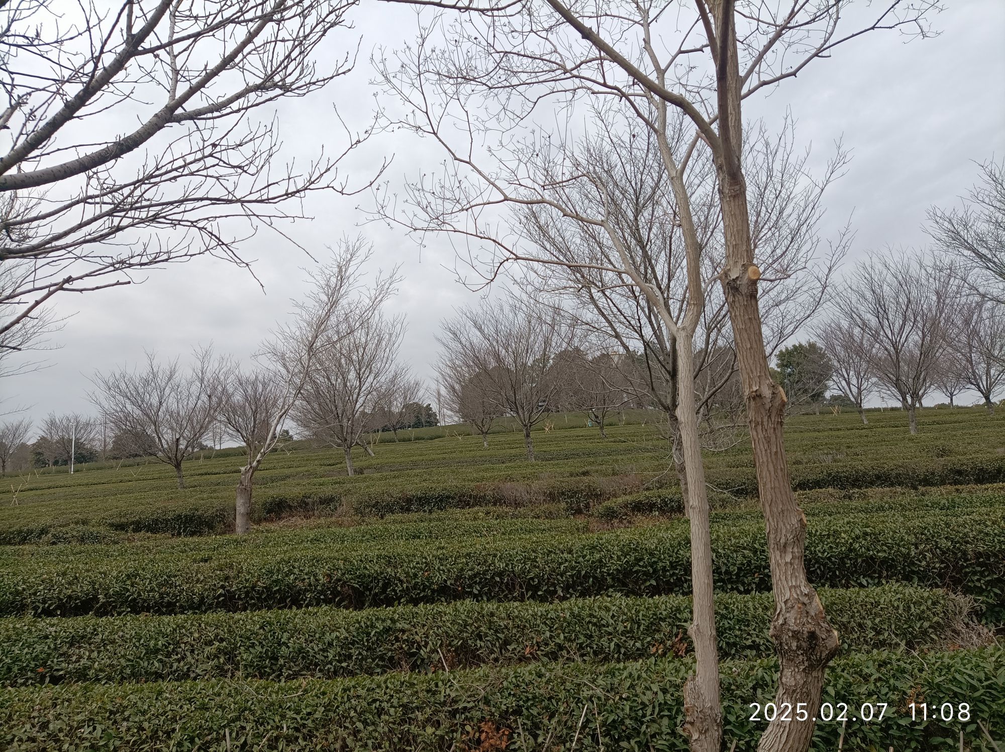 江西省凤凰沟风景区旅行图片 1