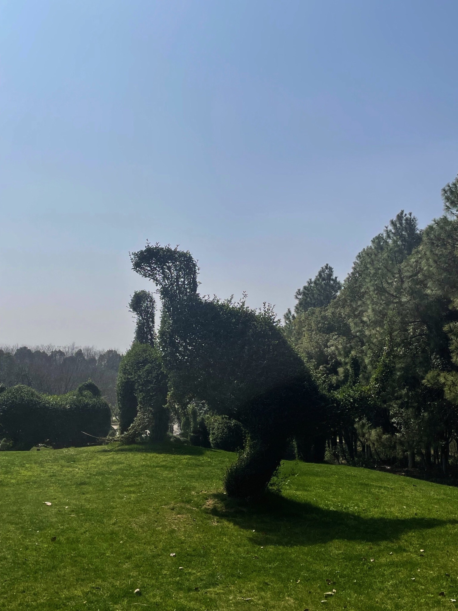 江西省凤凰沟风景区旅行图片 1
