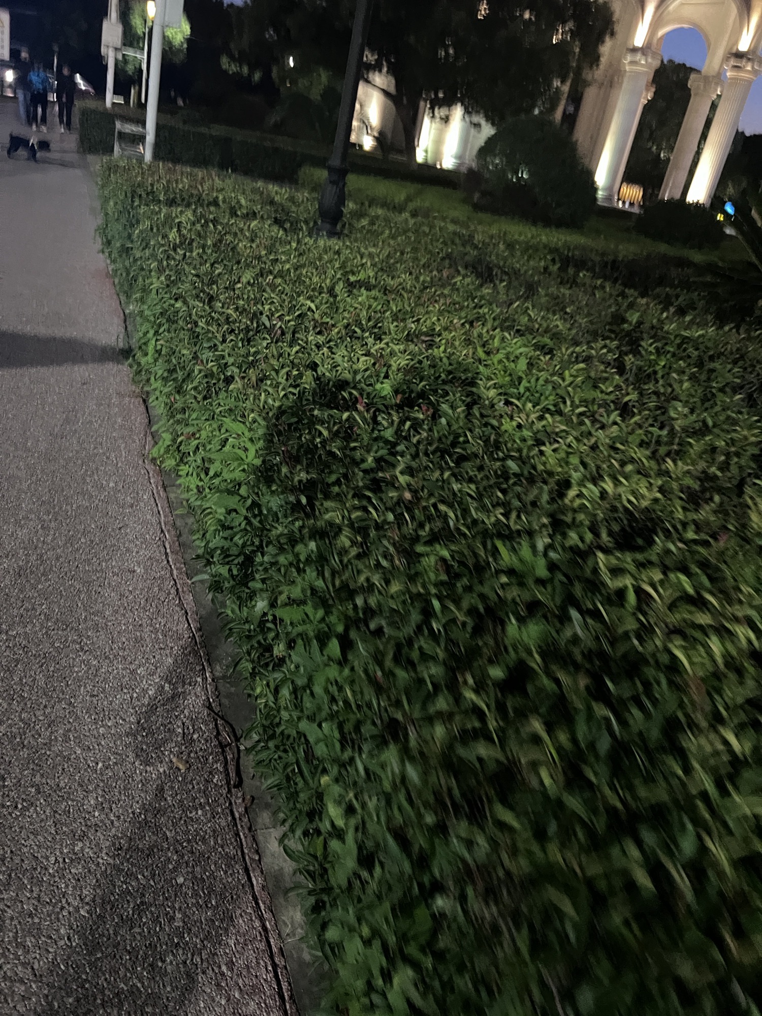 青山湖风景区市政公用广场旅行图片 1