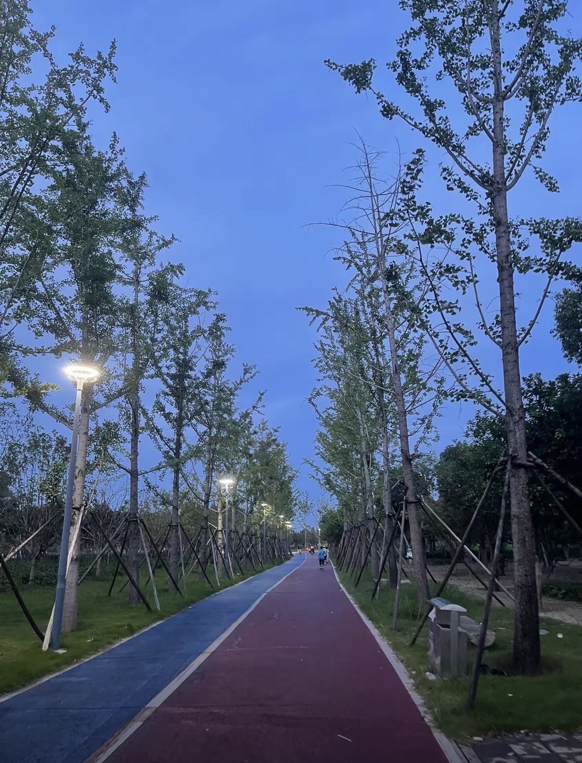 抚河公园旅行图片 2