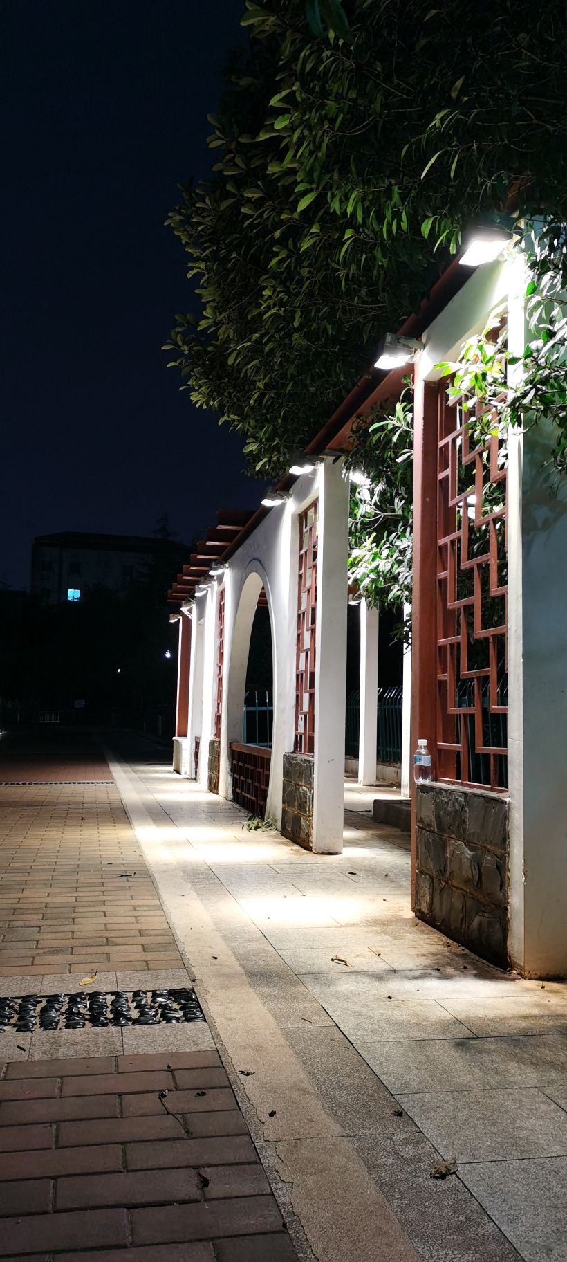 抚河公园旅行图片 3