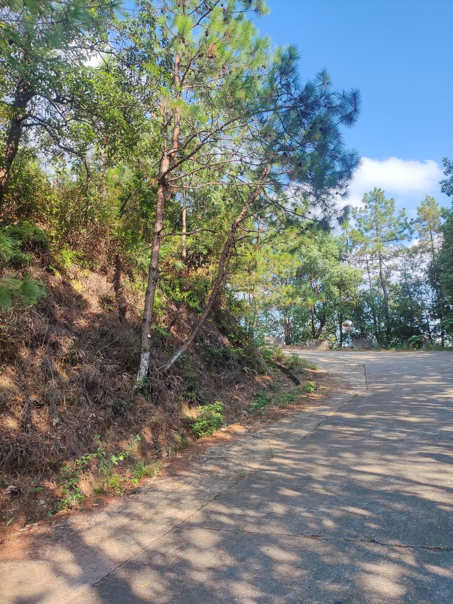 南昌市金山旅游风景区旅行图片 1