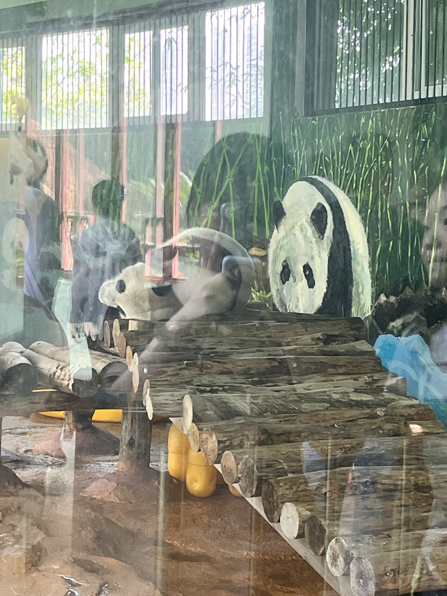 南昌动物园(桃花南路)旅行图片 2