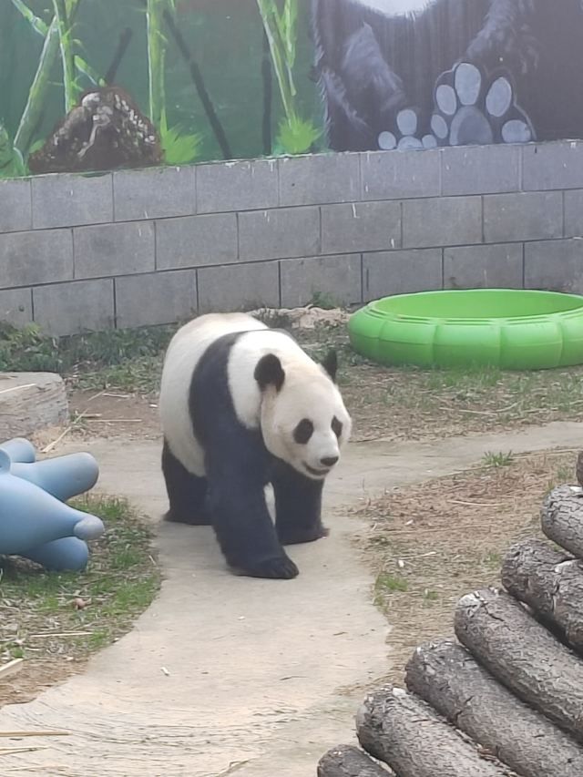 南昌动物园(桃花南路)旅行图片 1