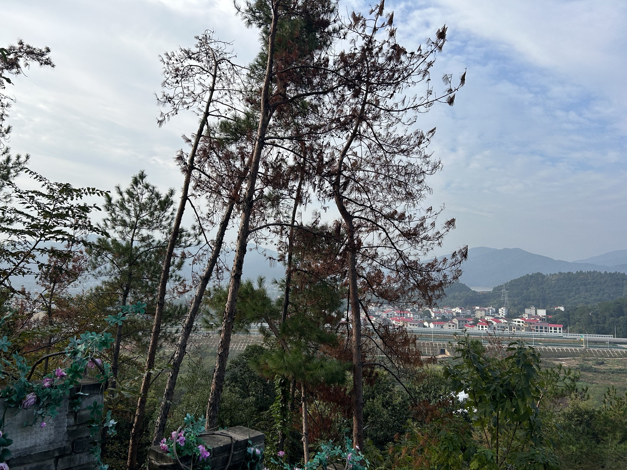 怪石岭生态公园旅行图片 2