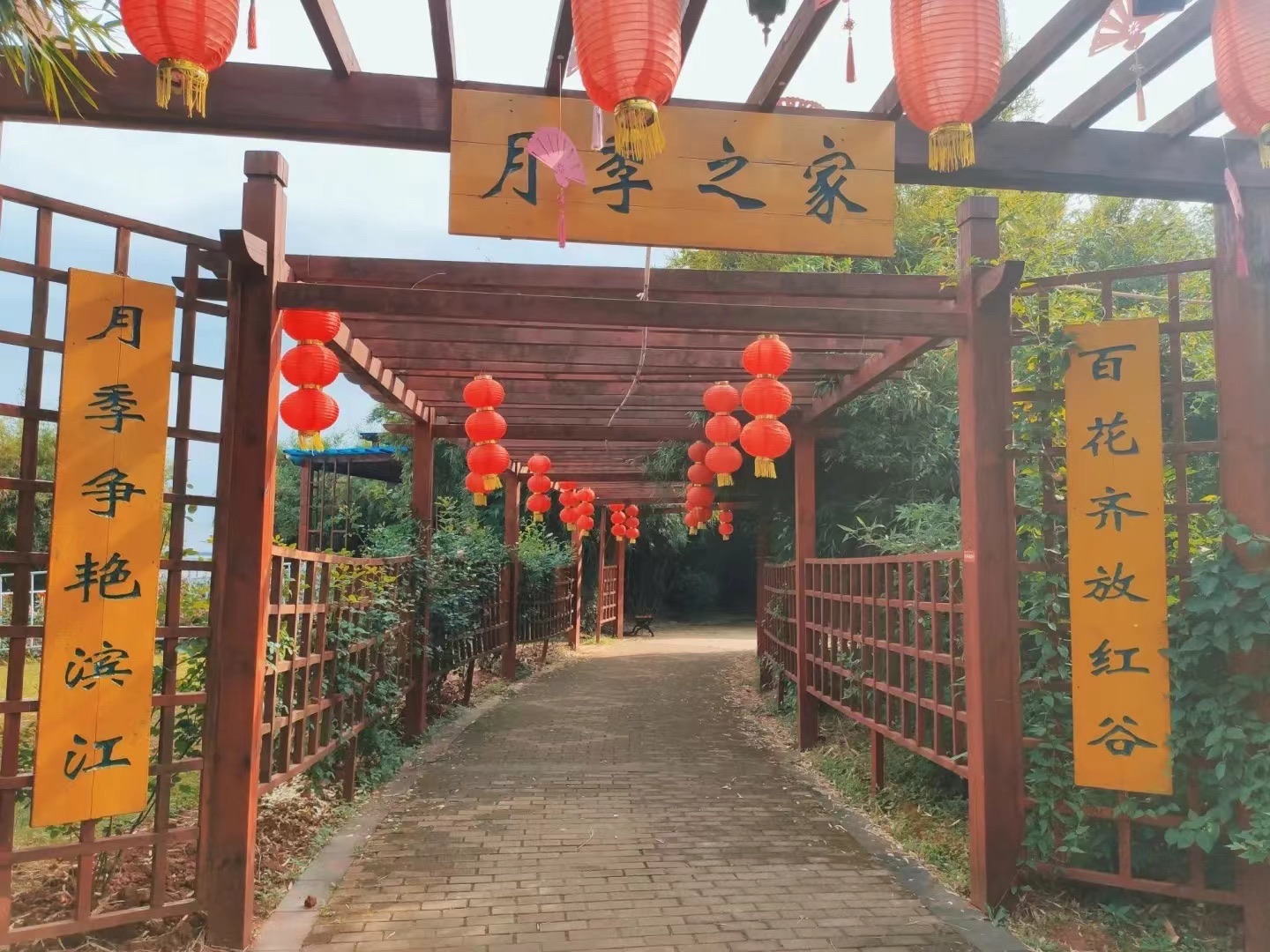 滨江月季园旅行图片 2