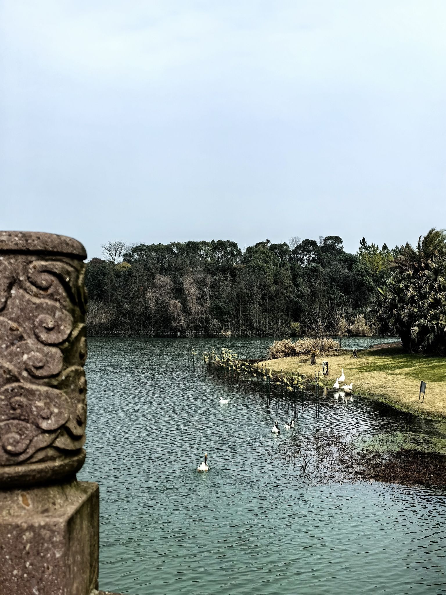 瑶湖郊野森林公园旅行图片 2
