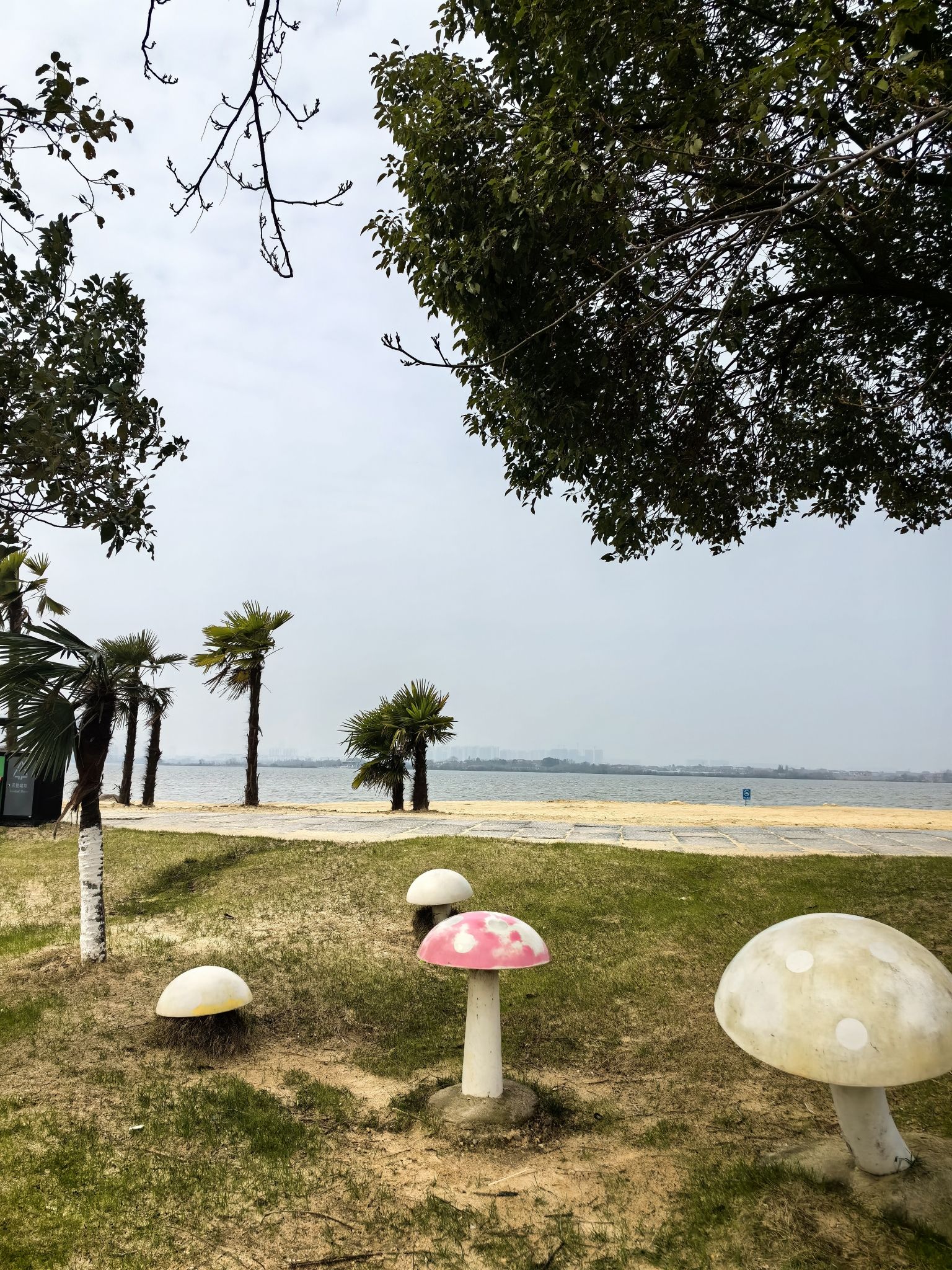 瑶湖郊野森林公园旅行图片 1