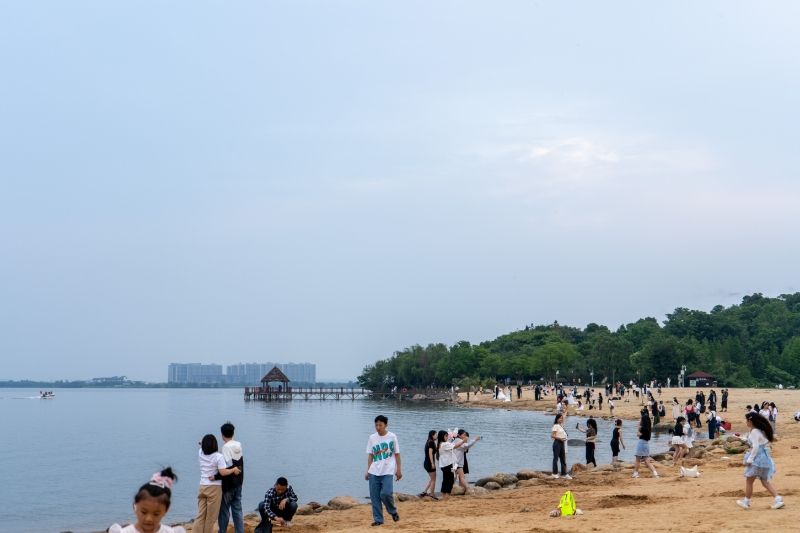 瑶湖郊野森林公园旅行图片 2