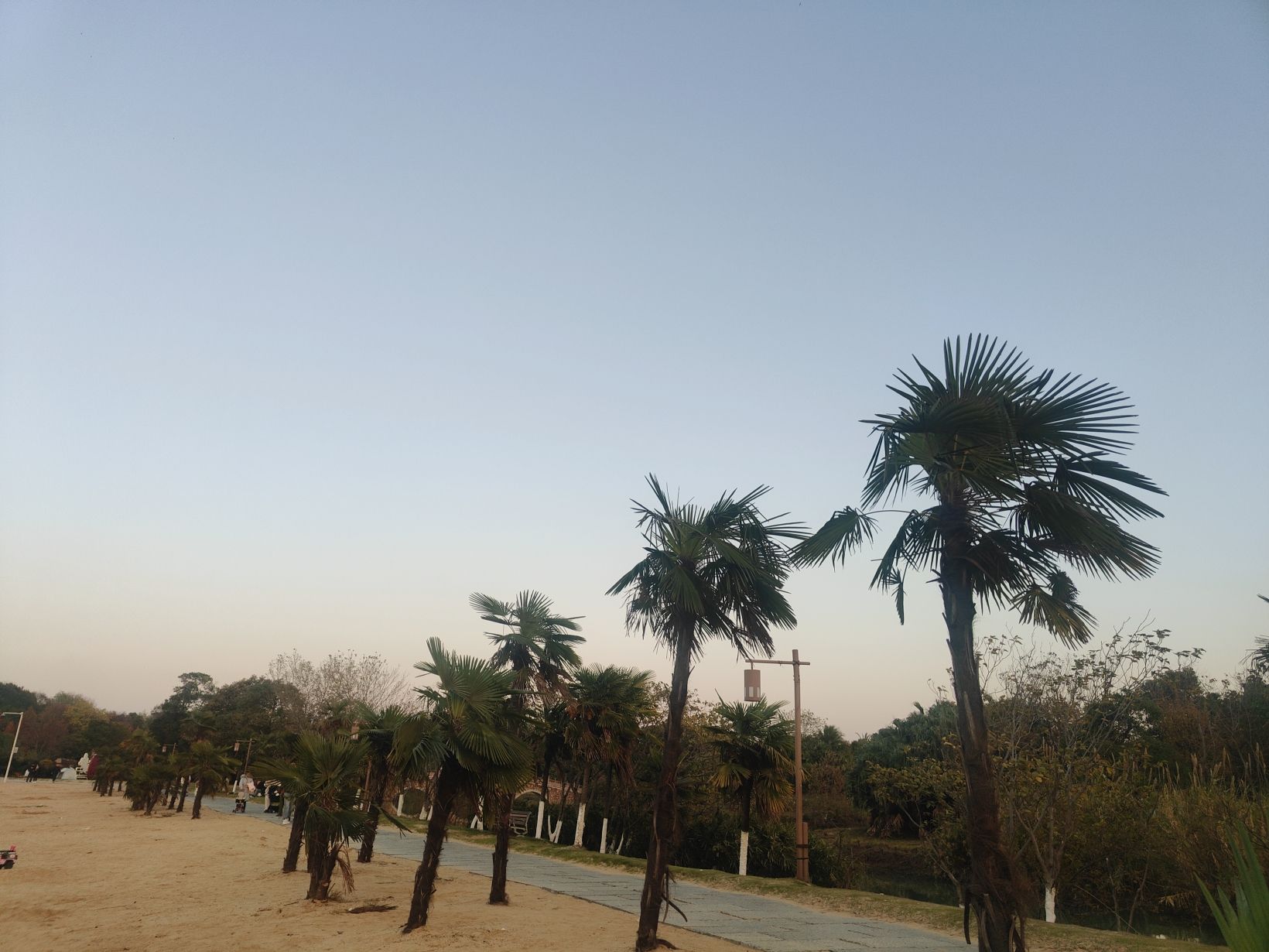 瑶湖郊野森林公园旅行图片 2
