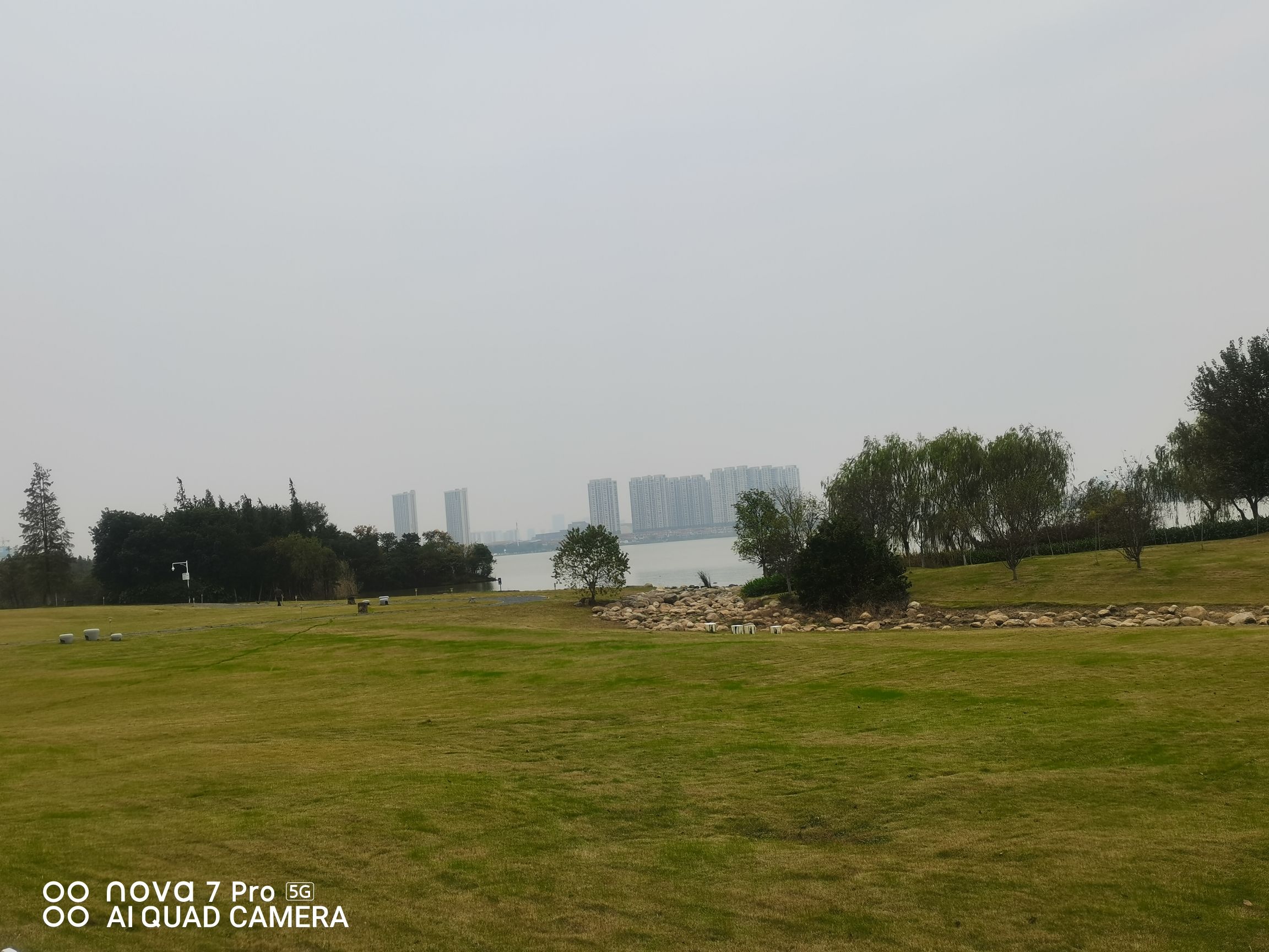 瑶湖郊野森林公园旅行图片 1