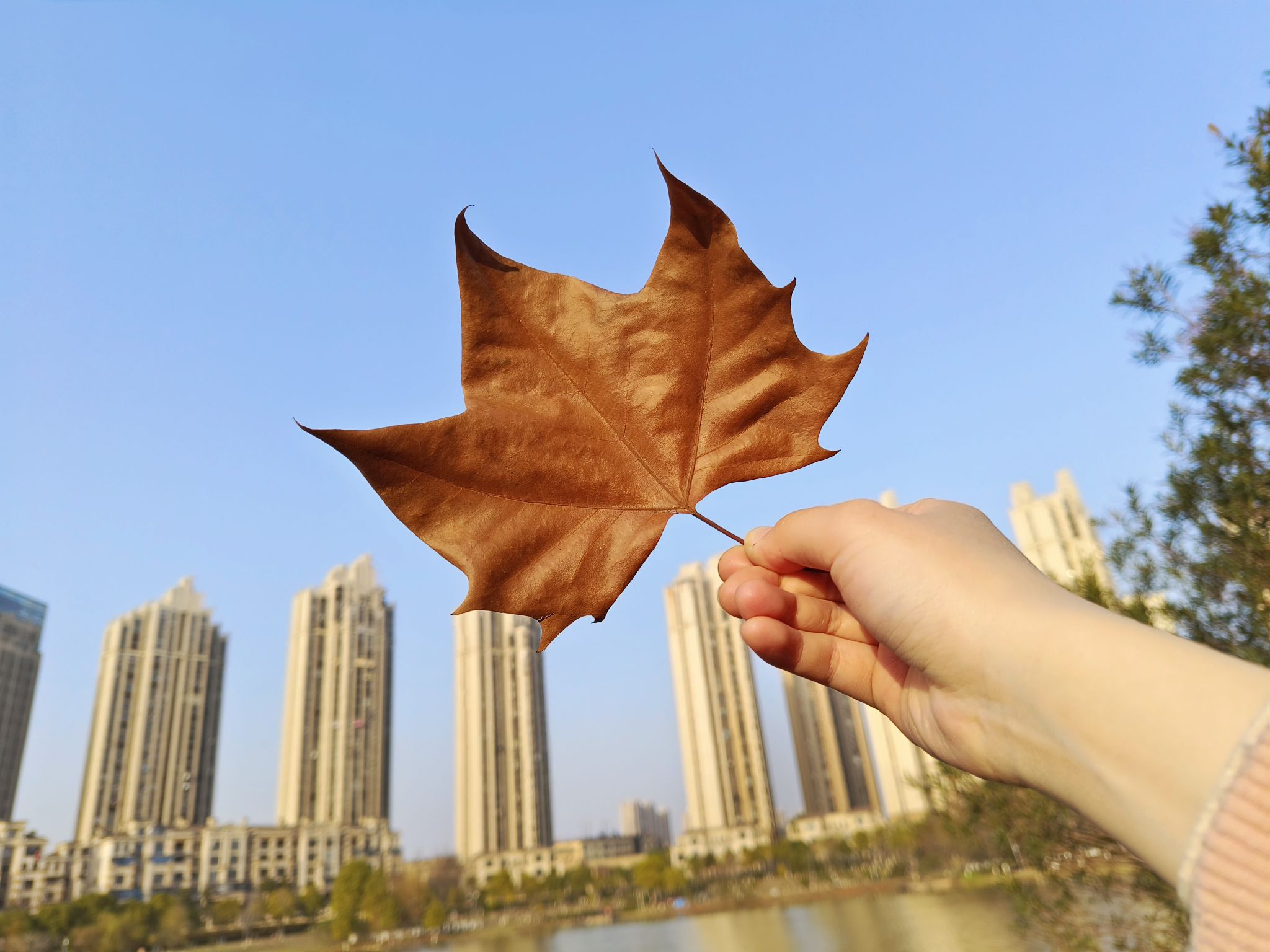 望城滨水公园旅行图片 3