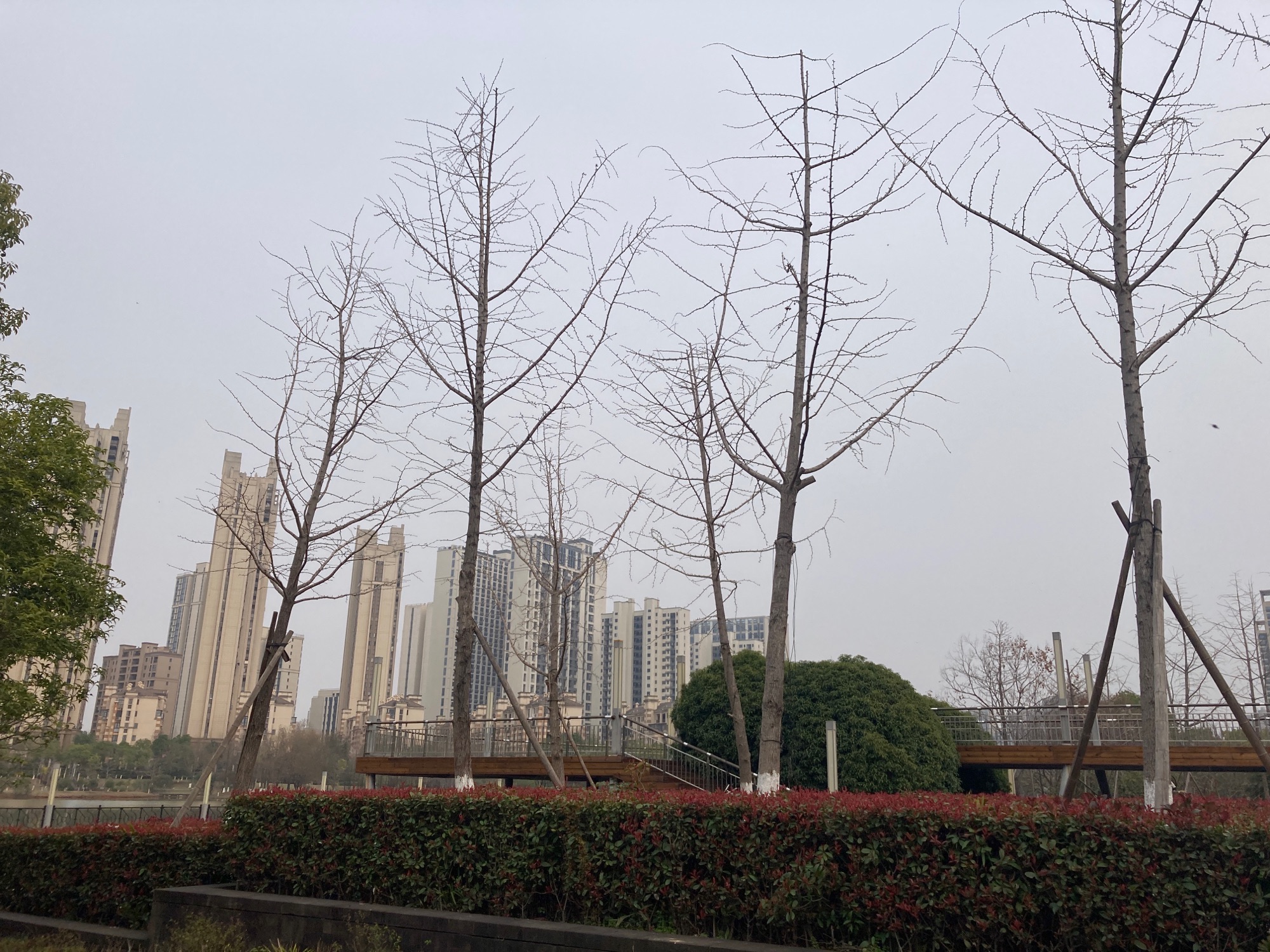 望城滨水公园旅行图片 2