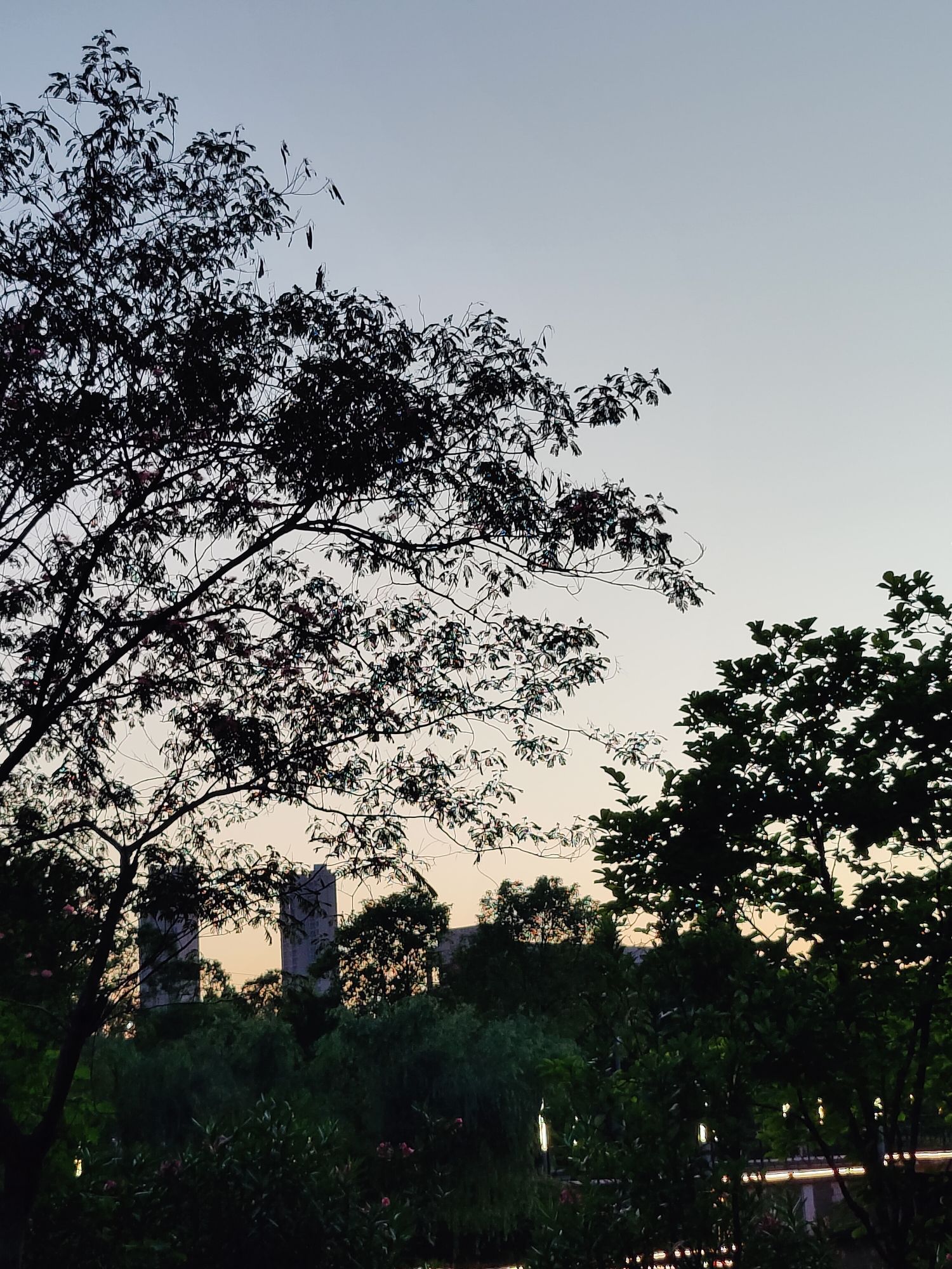 望城滨水公园旅行图片 3