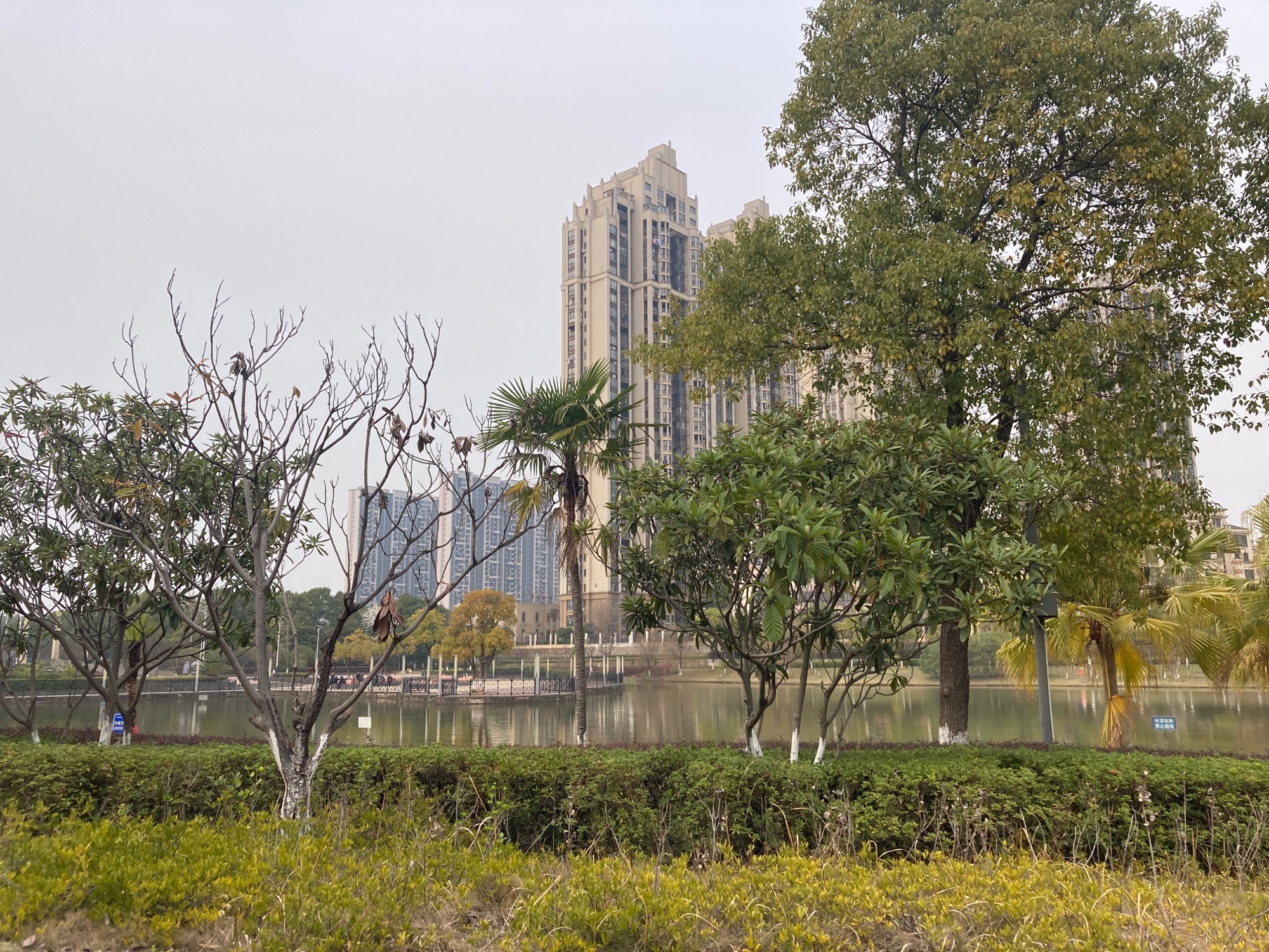 望城滨水公园旅行图片 1